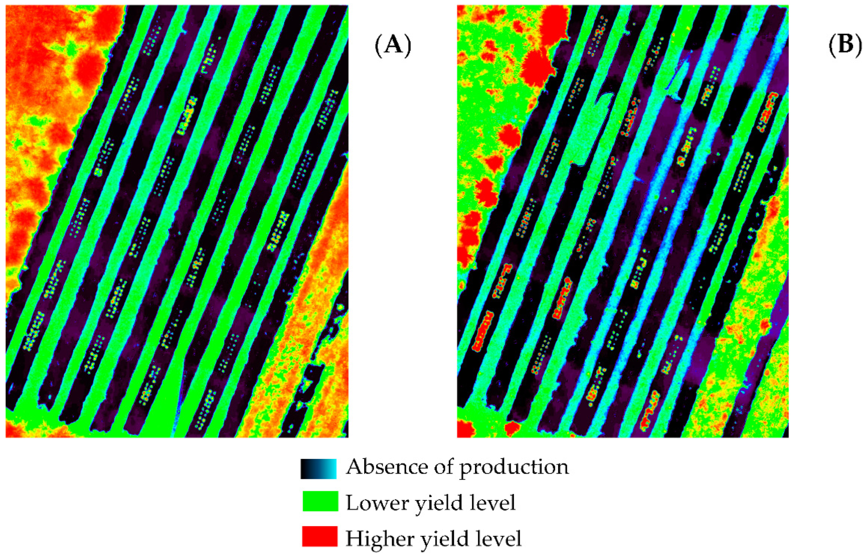 Agronomy 13 01229 g009