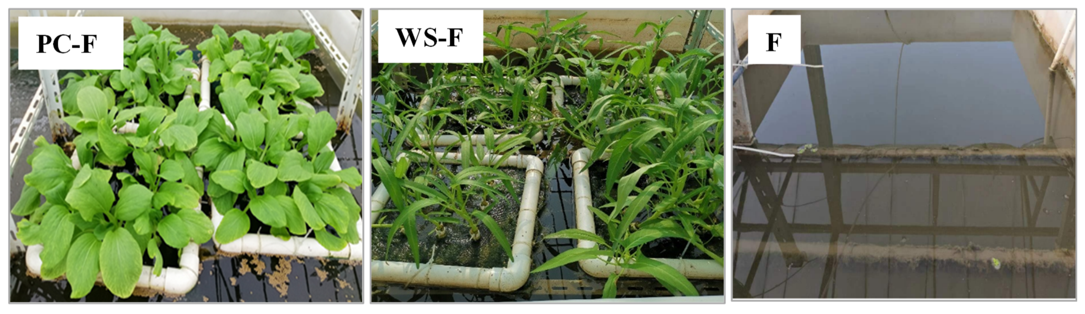 Agronomy 13 01230 g001