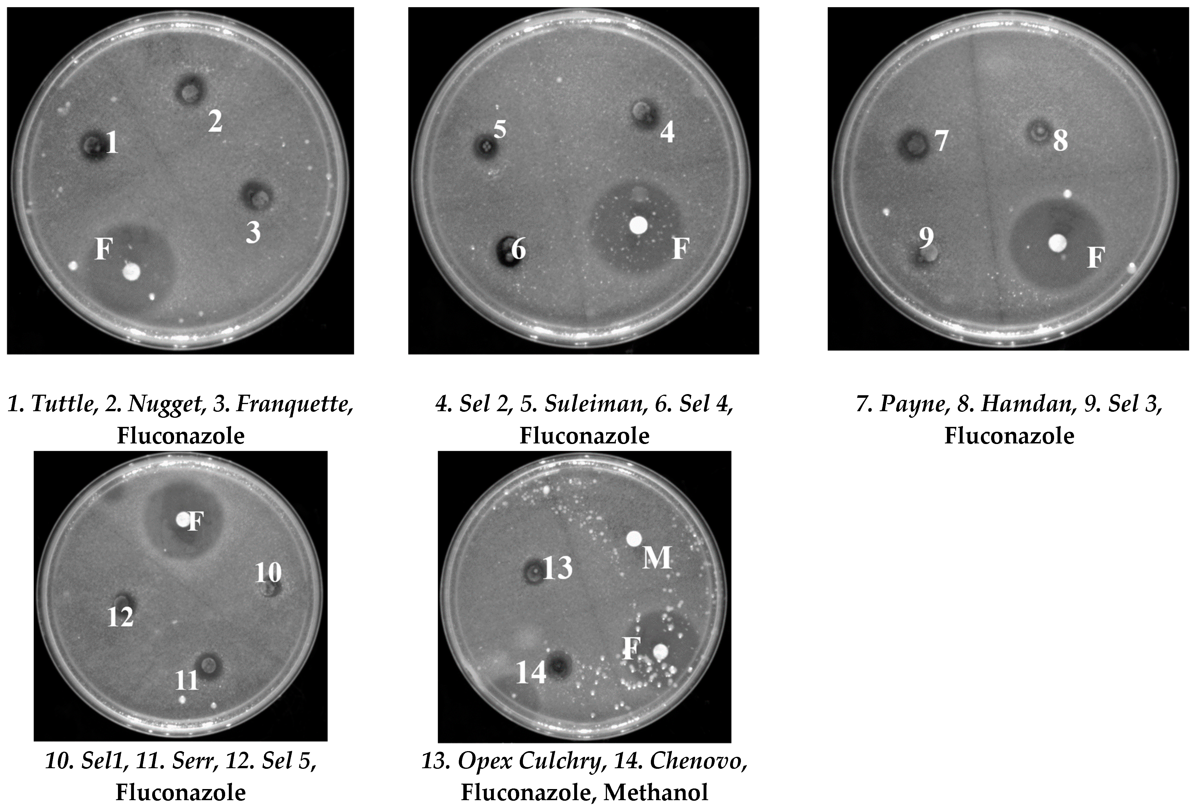 Agronomy 13 01232 g004