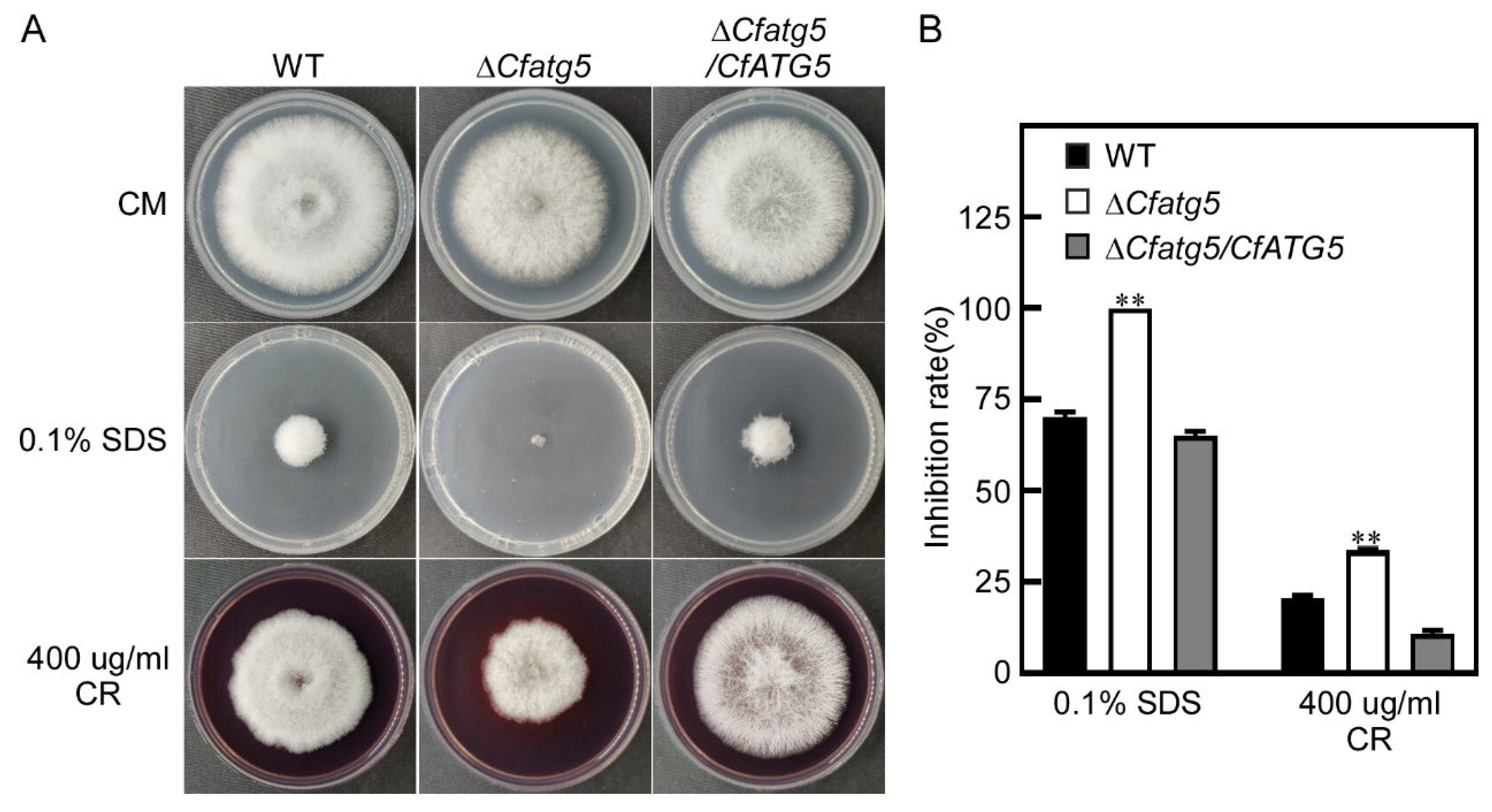 Agronomy 13 01237 g006 Agronomy 13 01237 g006