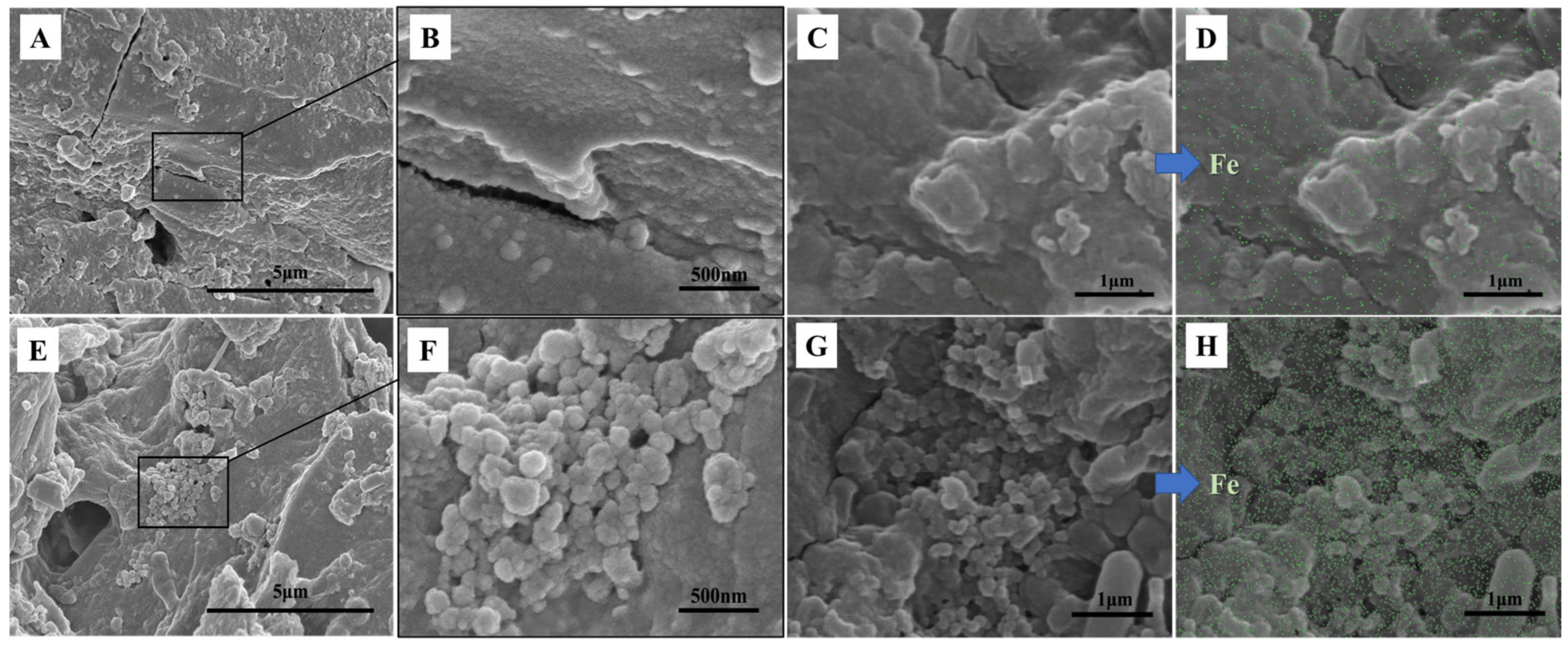Agronomy 13 01239 g002 Agronomy 13 01239 g002