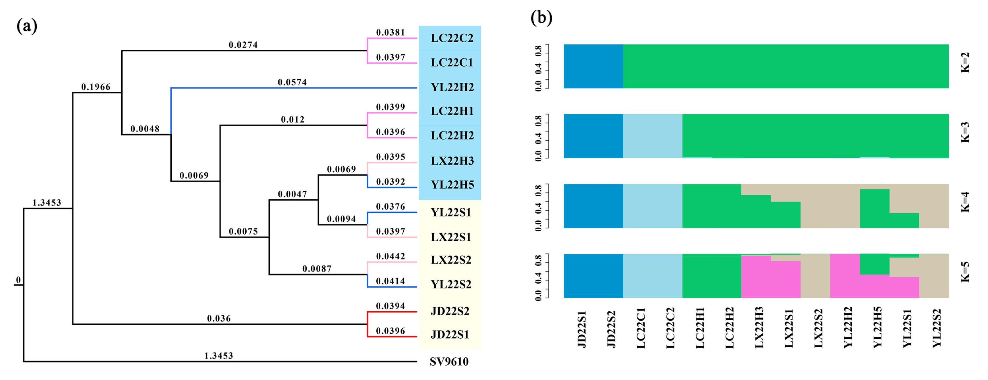 Agronomy 13 01246 g004 Agronomy 13 01246 g004