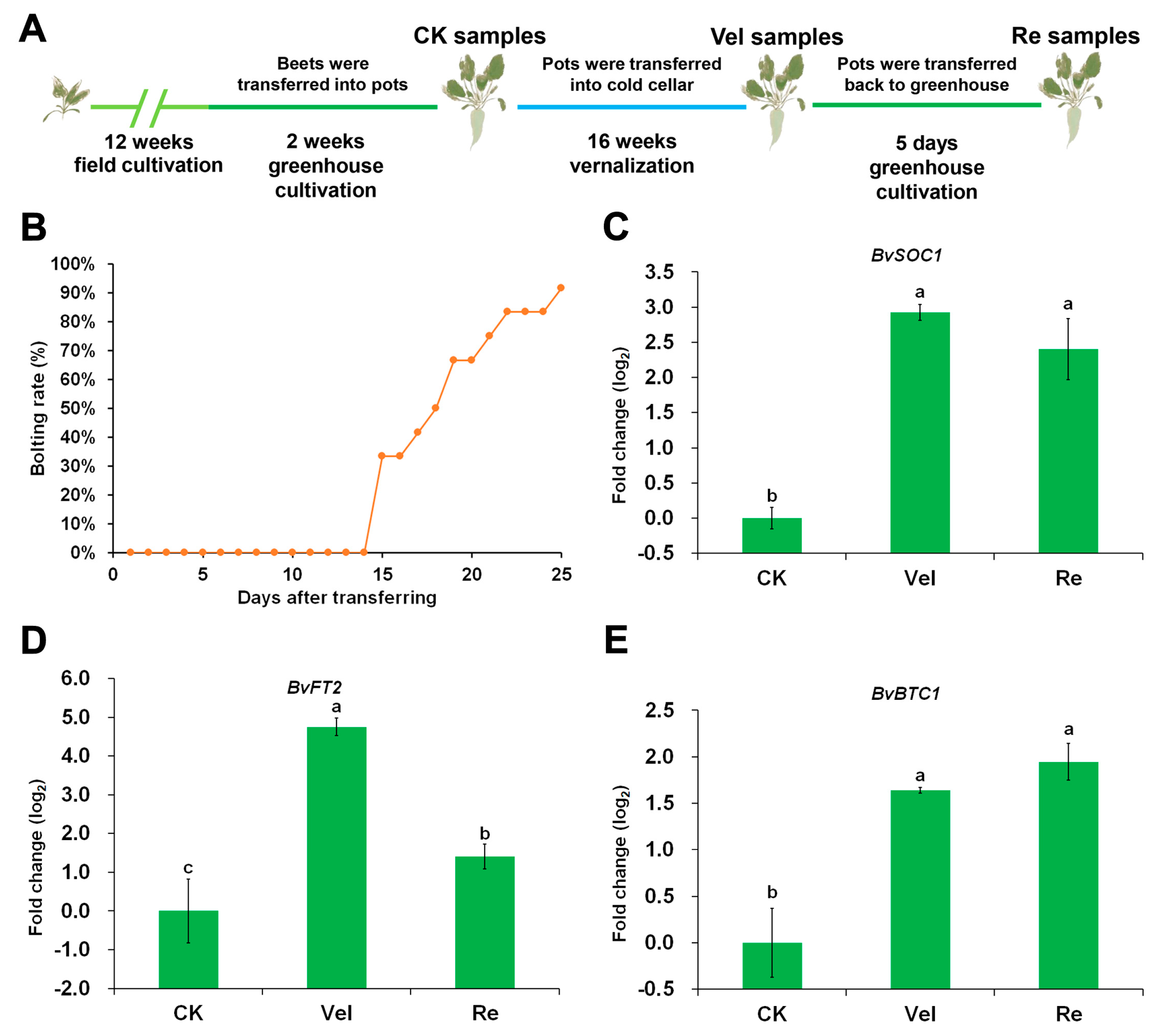Agronomy 13 01251 g001