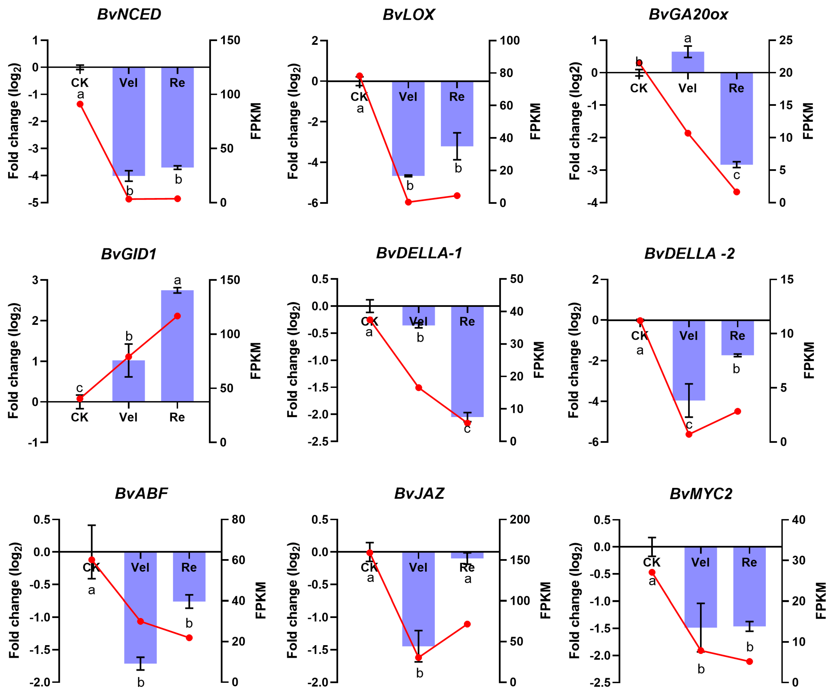 Agronomy 13 01251 g007