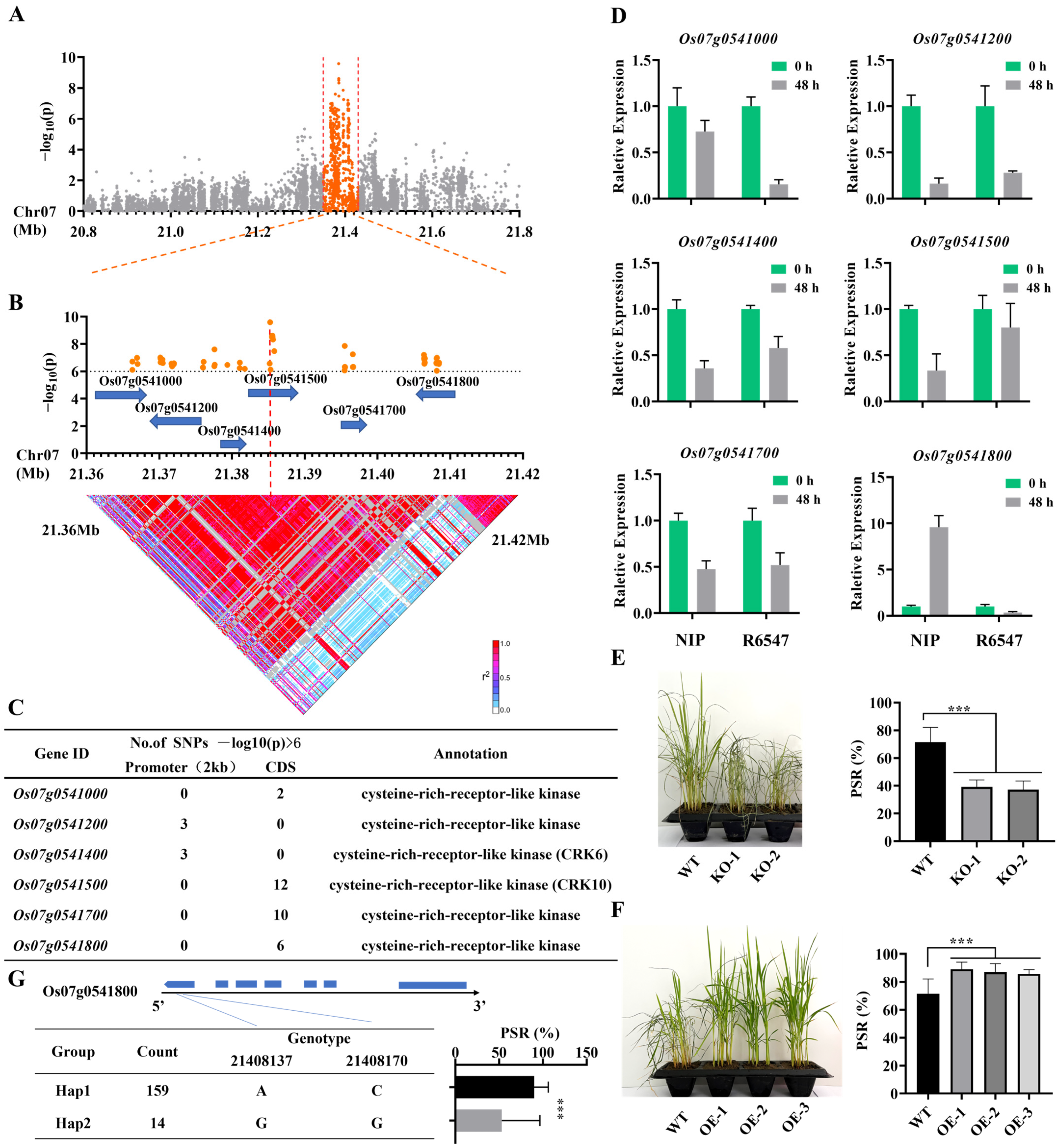 Agronomy 13 01252 g002 Agronomy 13 01252 g002