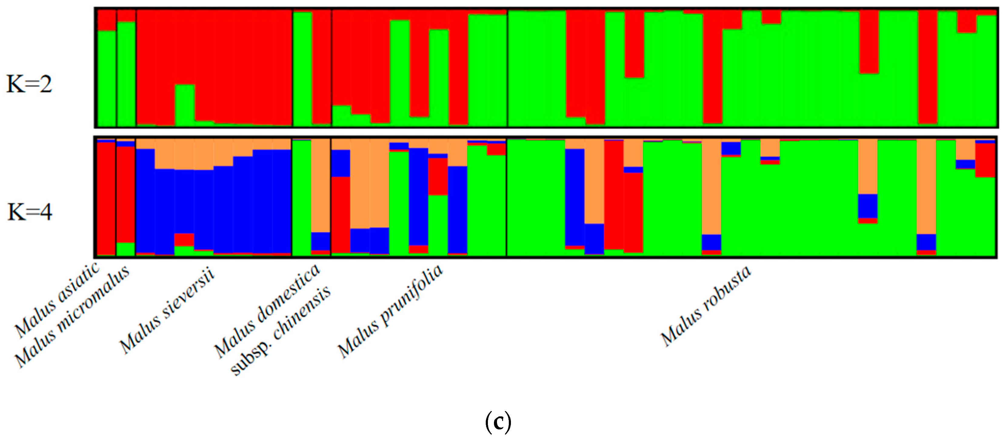 Agronomy 13 01262 g001b Agronomy 13 01262 g001b