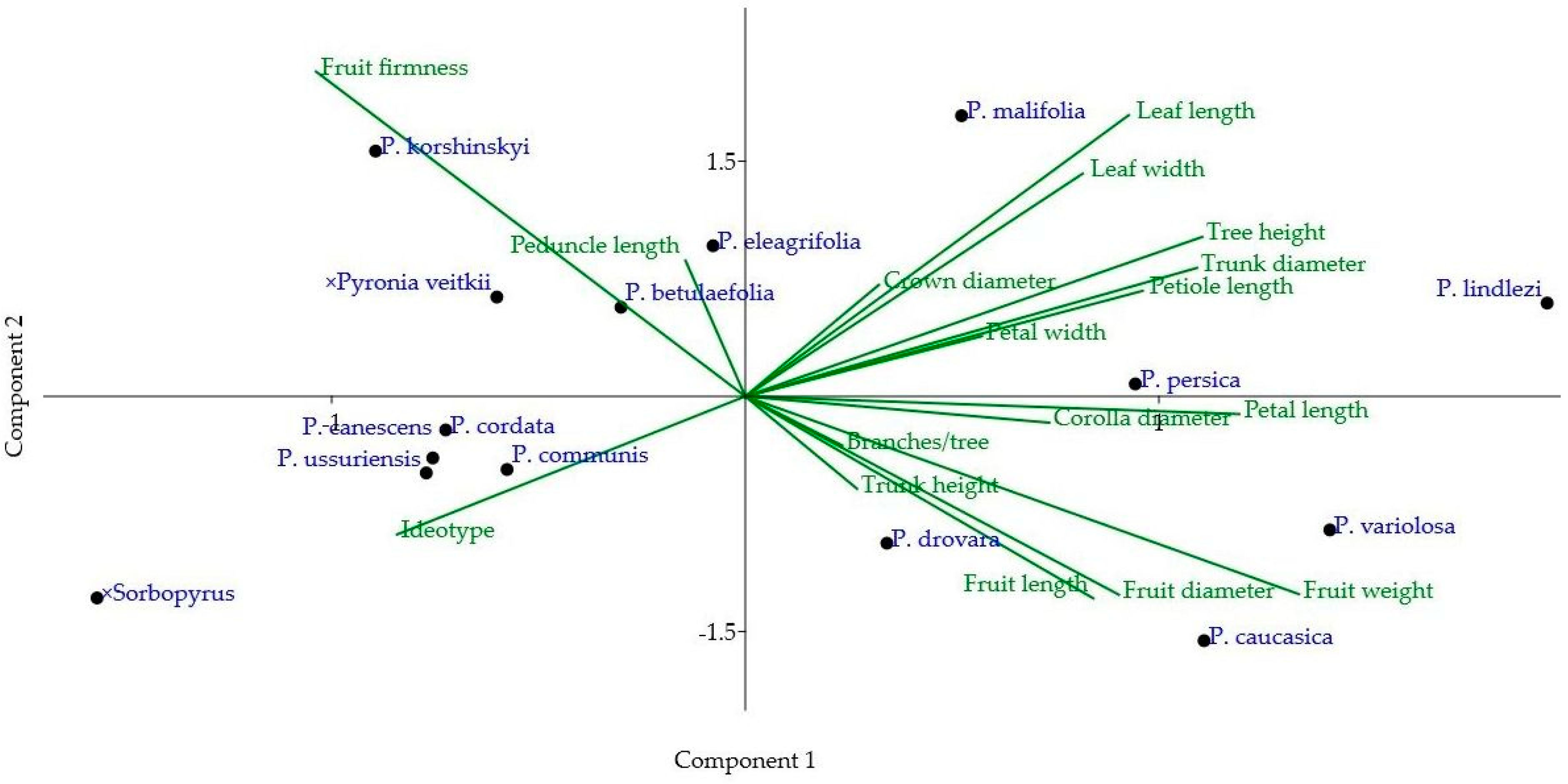 Agronomy 13 01264 g002