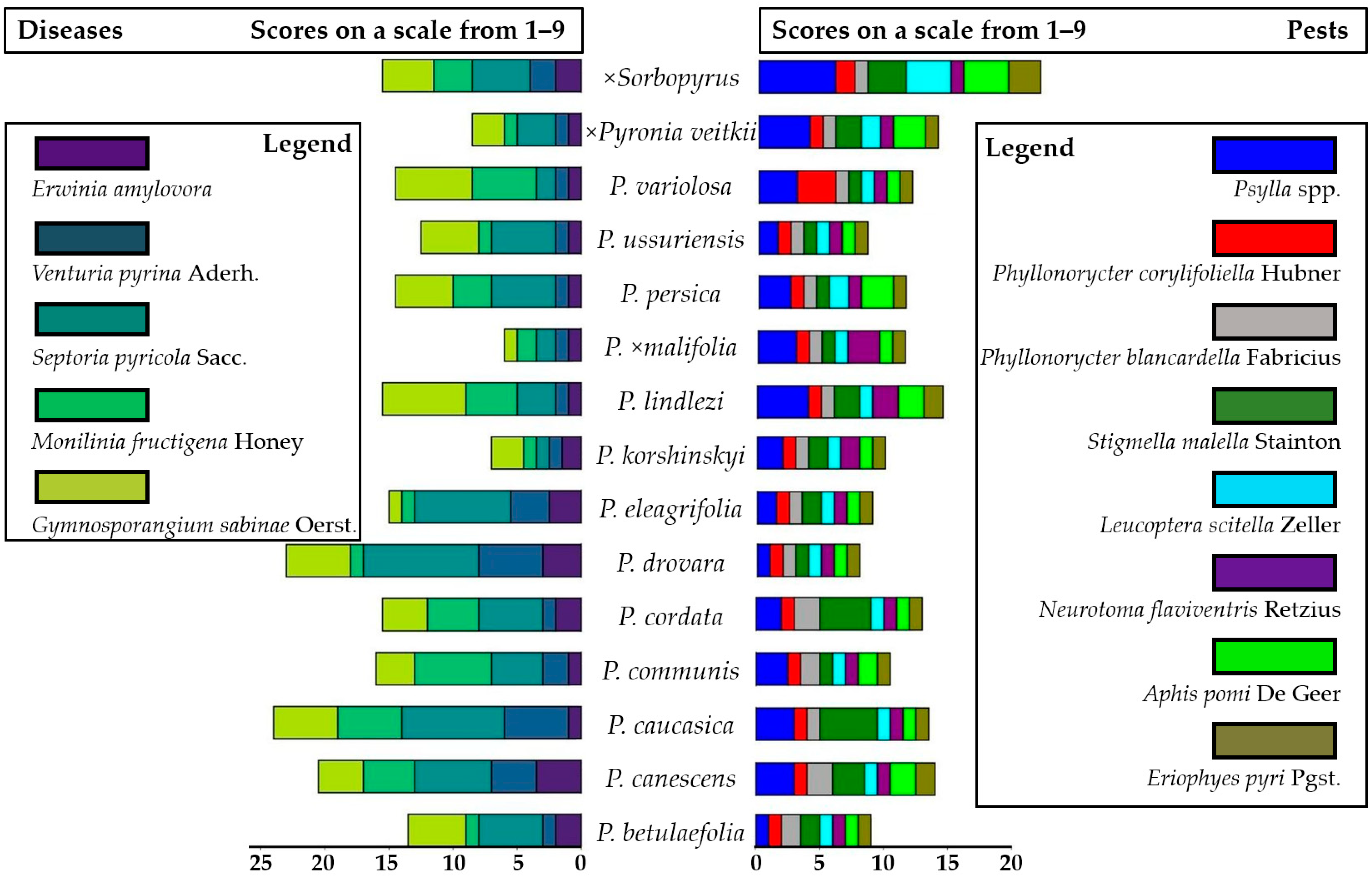 Agronomy 13 01264 g004