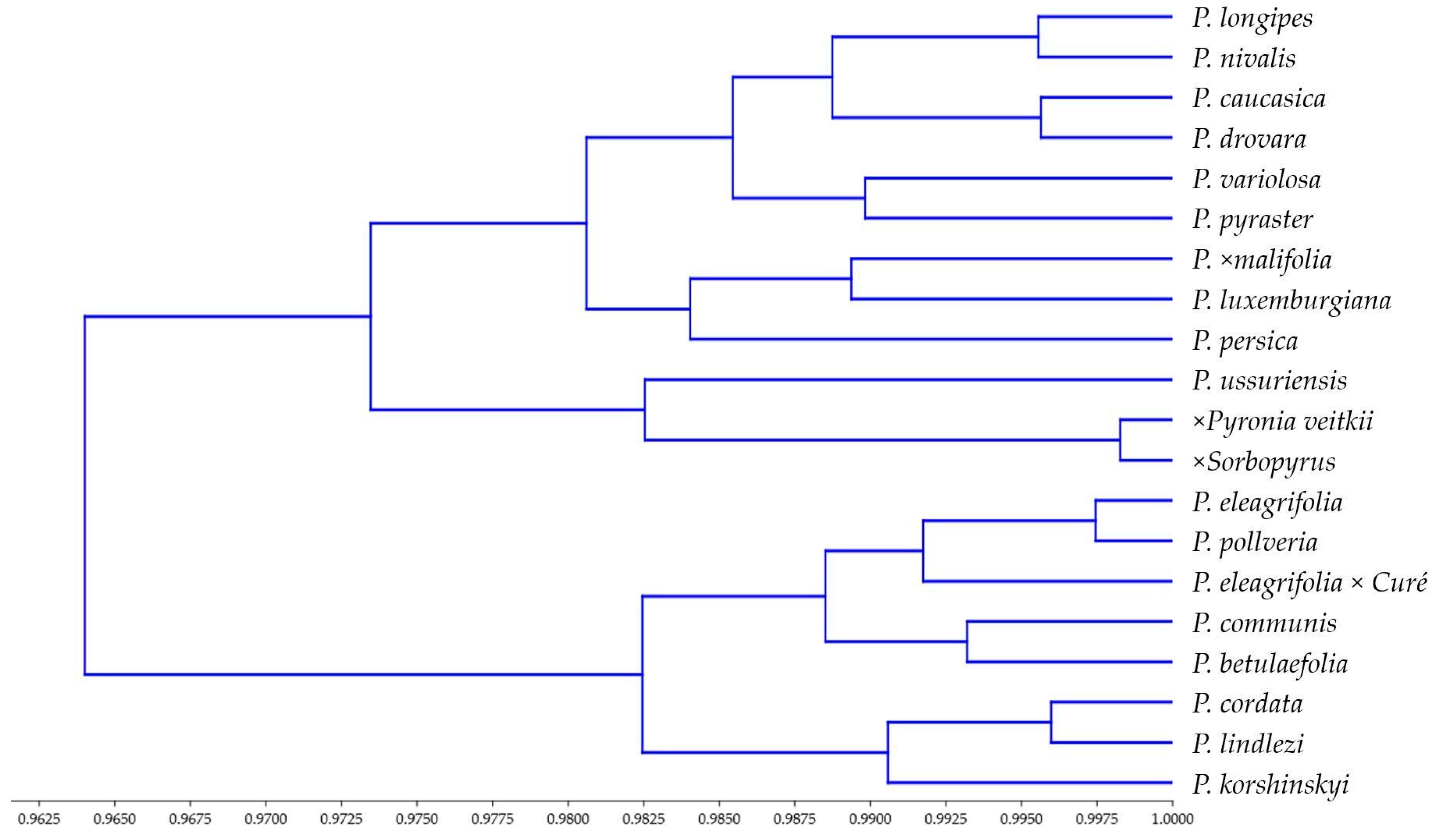 Agronomy 13 01264 g006
