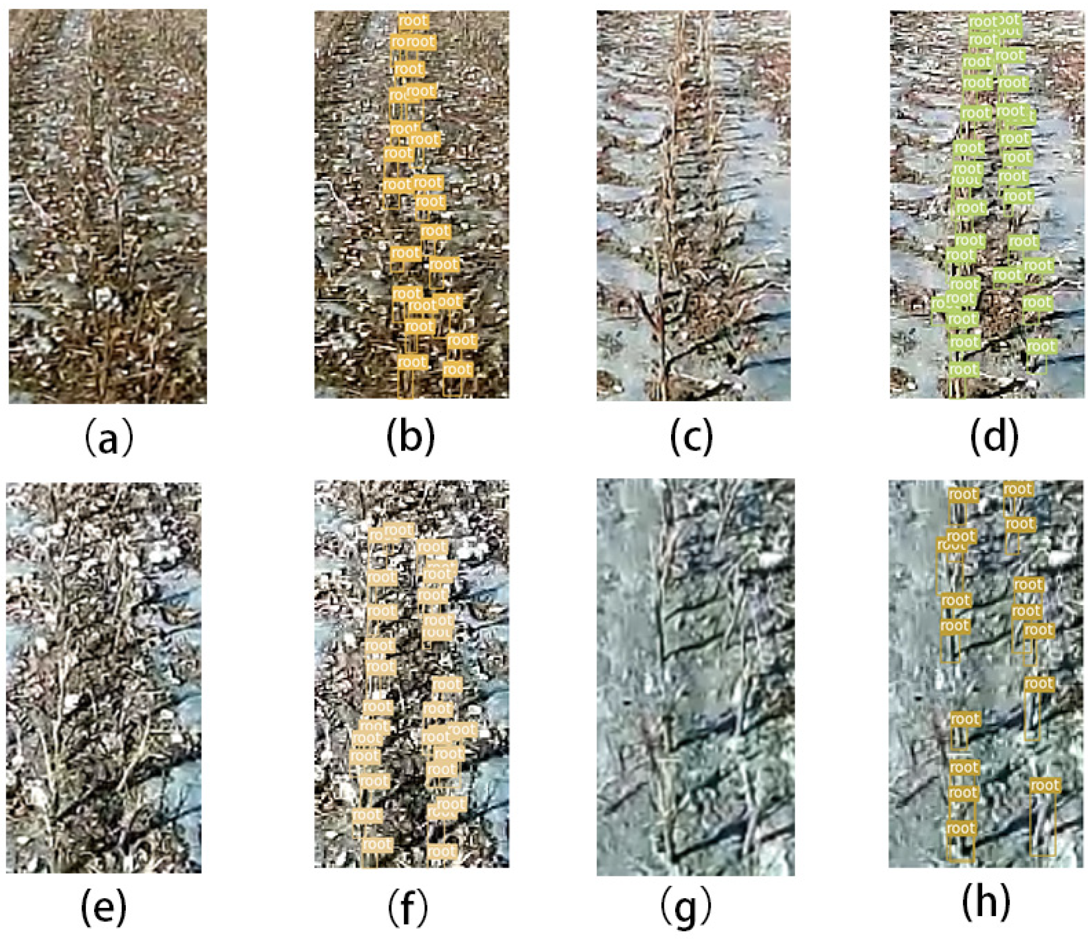 Agronomy 13 01271 g011