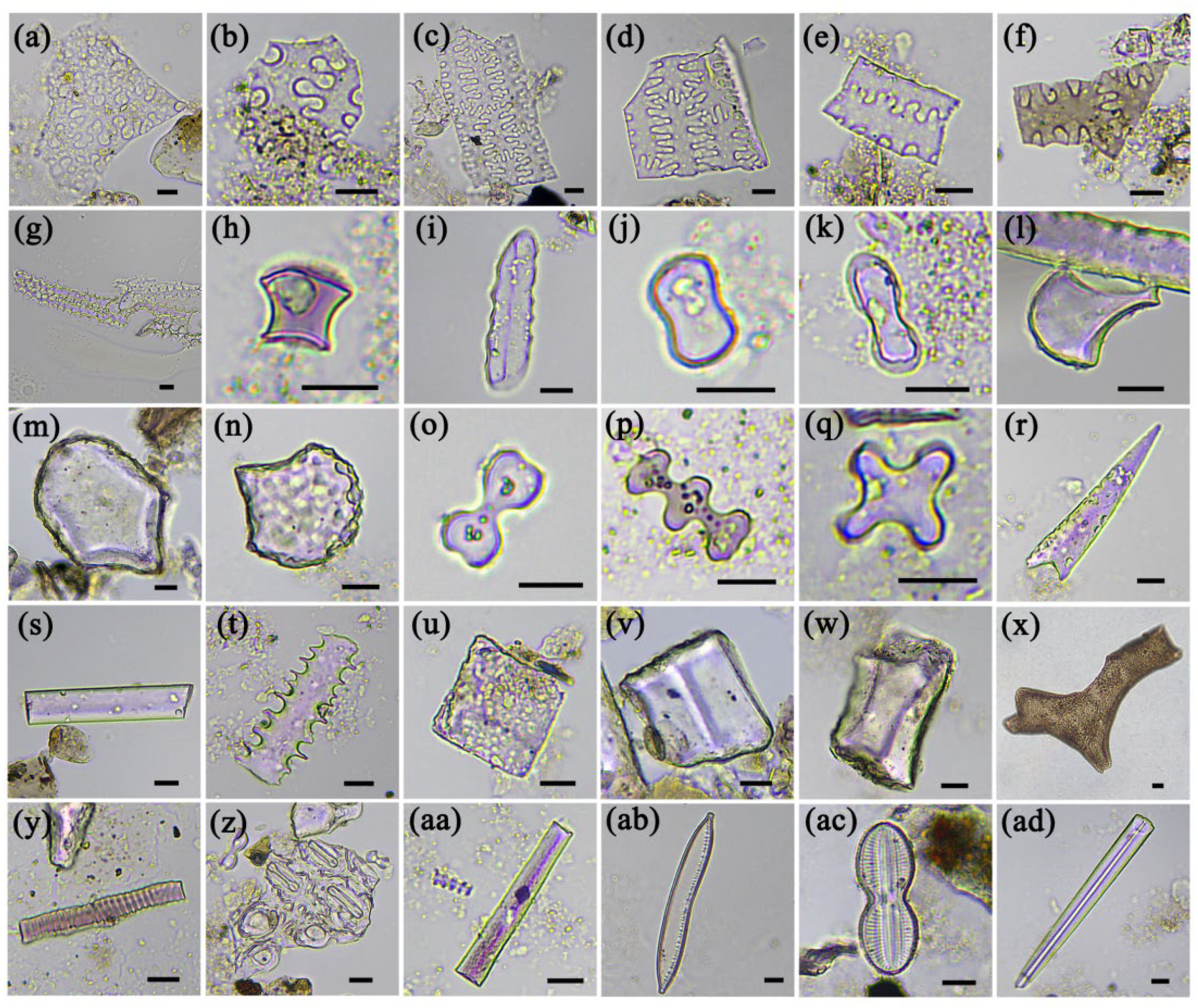 Agronomy 13 01272 g003 Agronomy 13 01272 g003