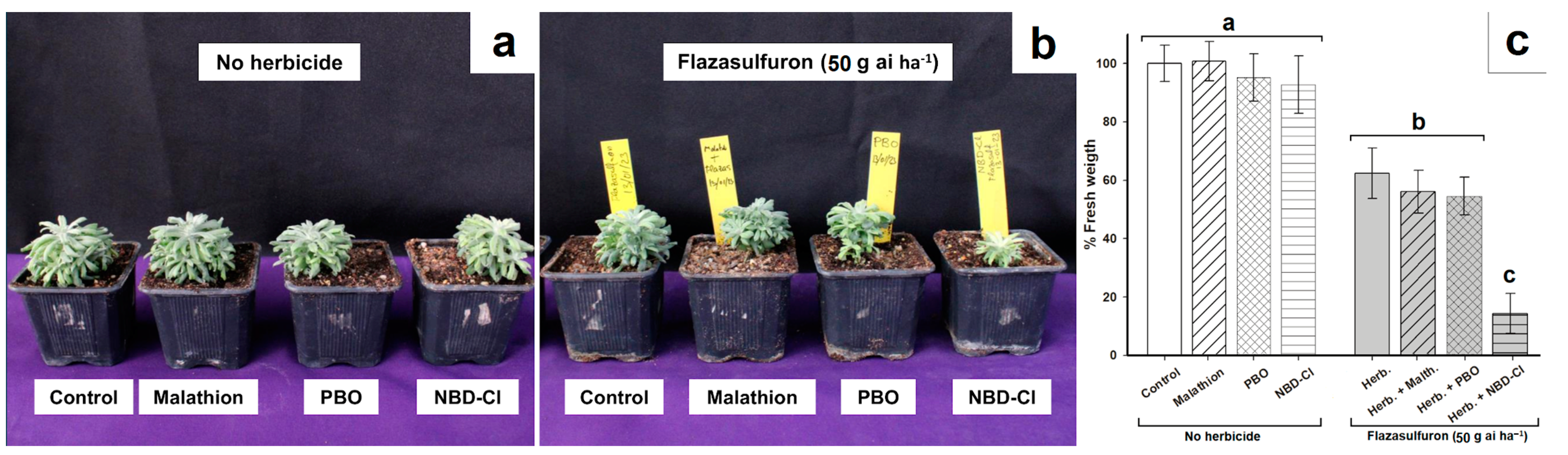 Agronomy 13 01273 g003 Agronomy 13 01273 g003