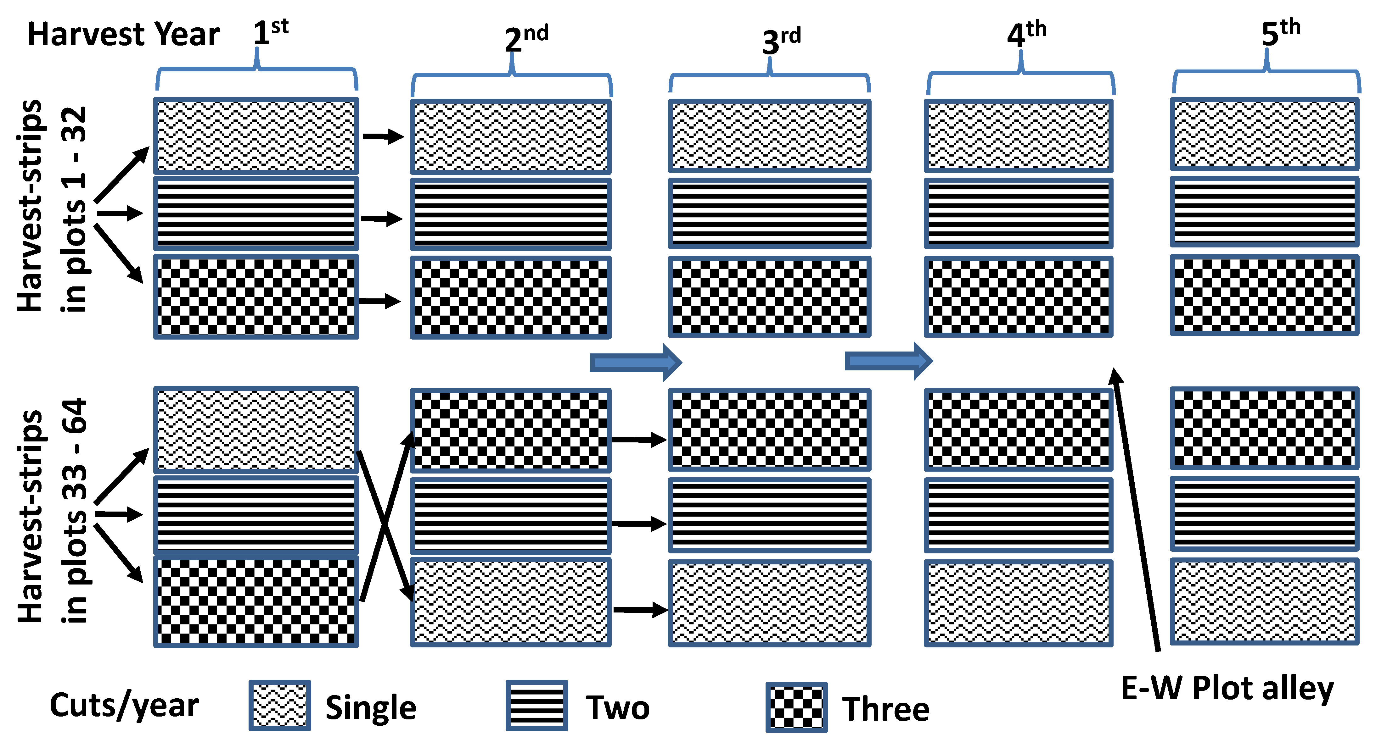 Agronomy 13 01280 g002