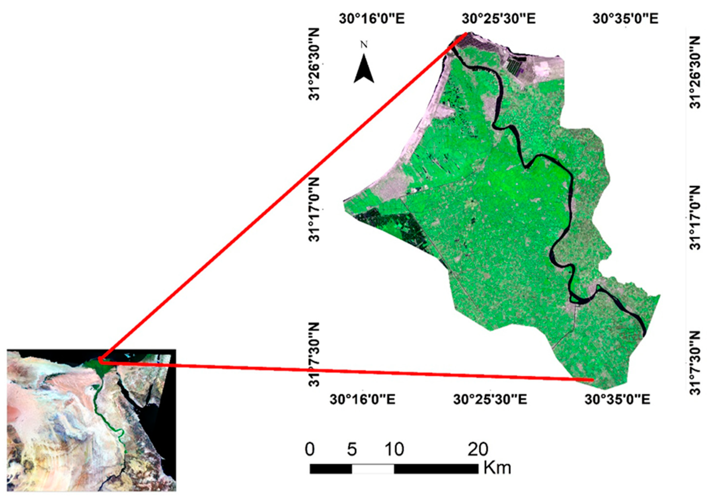 Agronomy 13 01281 g001
