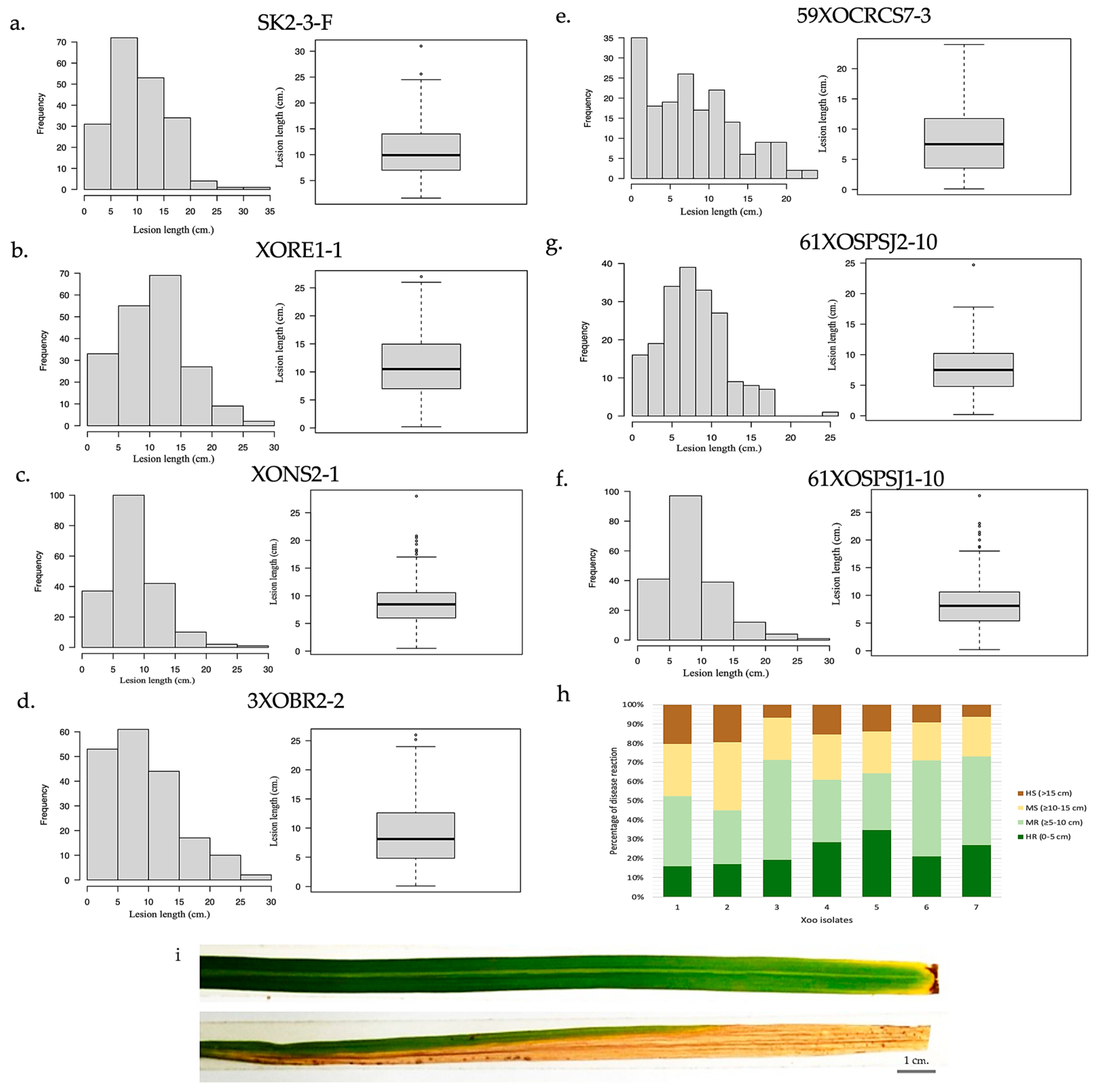 Agronomy 13 01286 g001