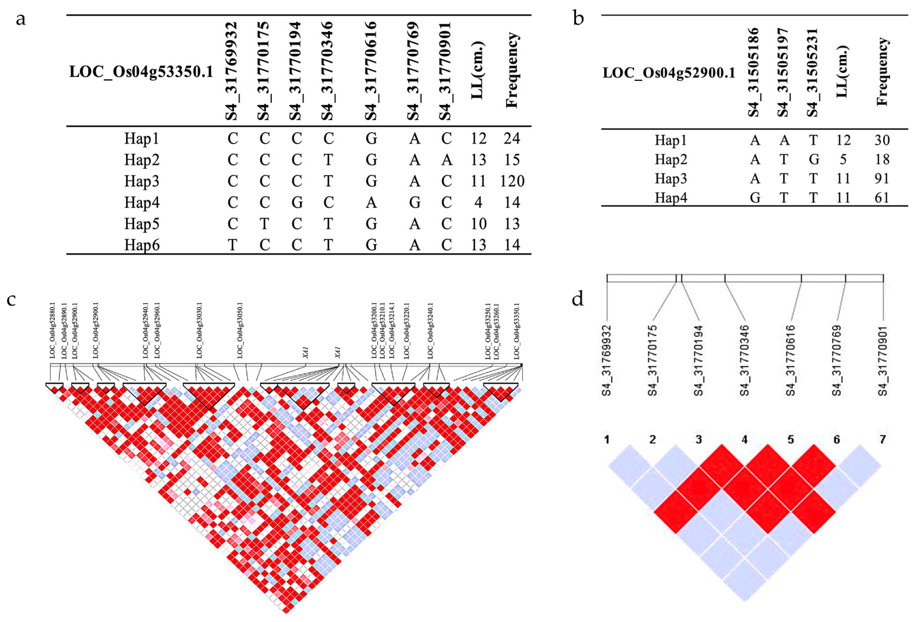 Agronomy 13 01286 g009