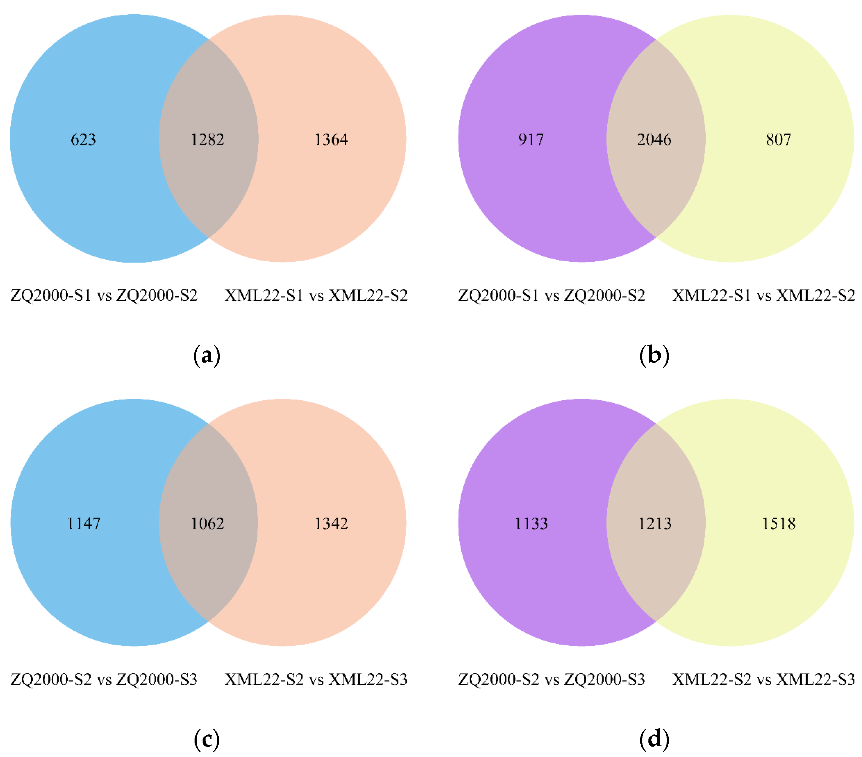 Morphological Characterstics of the Sensilla in a