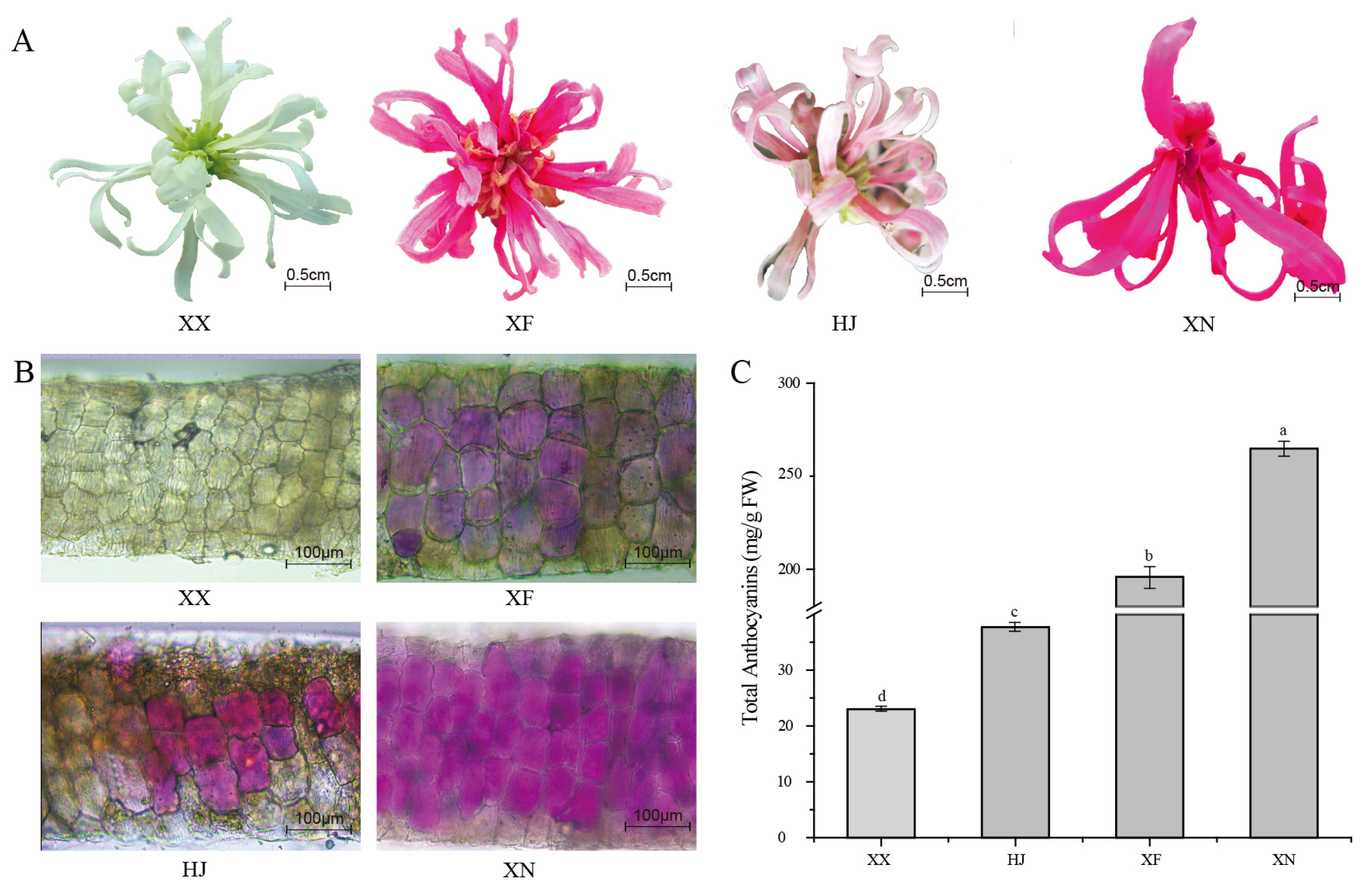 Agronomy 13 01296 g001 Agronomy 13 01296 g001