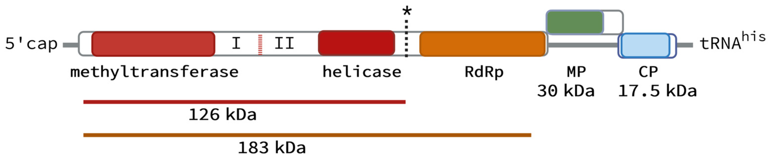 Agronomy 13 01300 g001 Agronomy 13 01300 g001