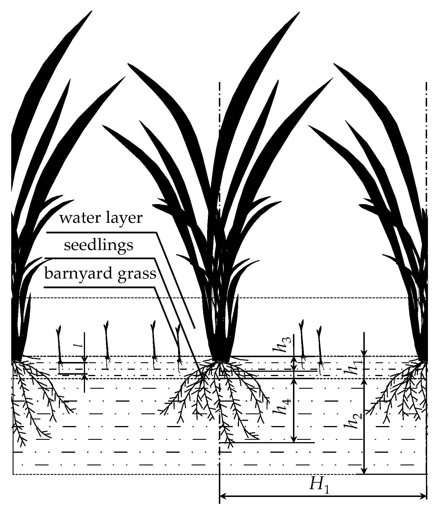 Agronomy 13 01305 g003