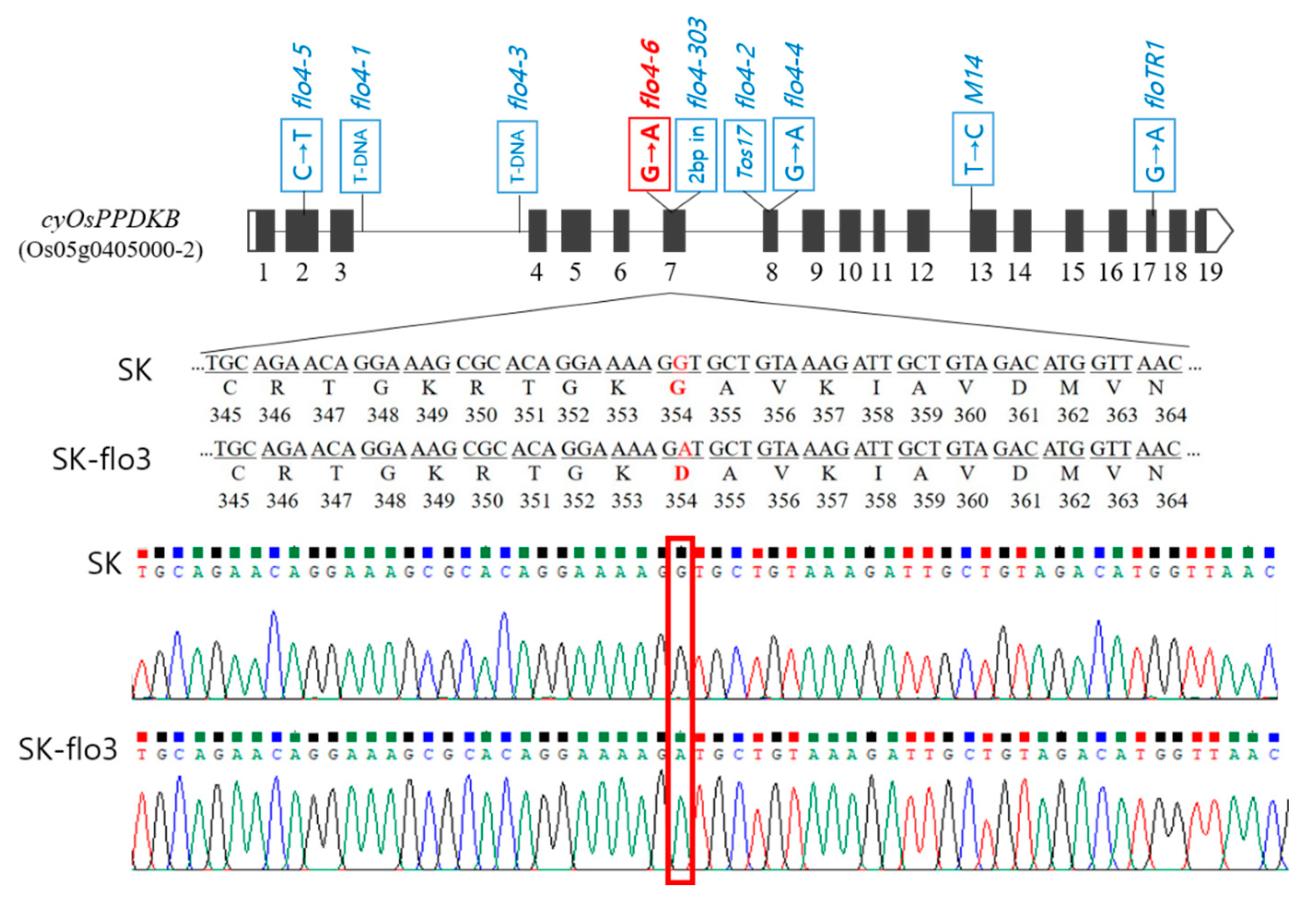 Agronomy 13 01306 g002