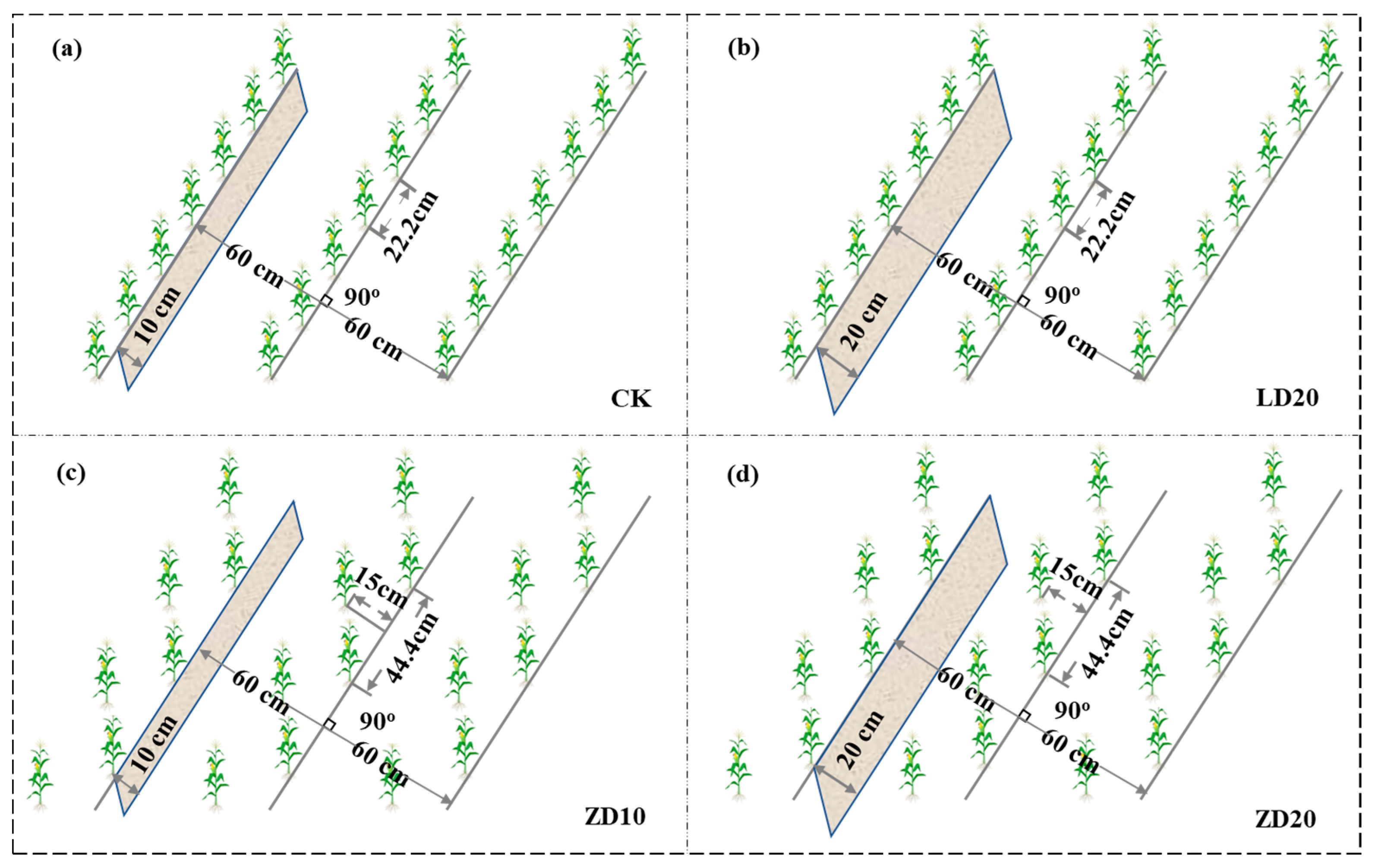 Agronomy 13 01307 g001 Agronomy 13 01307 g001