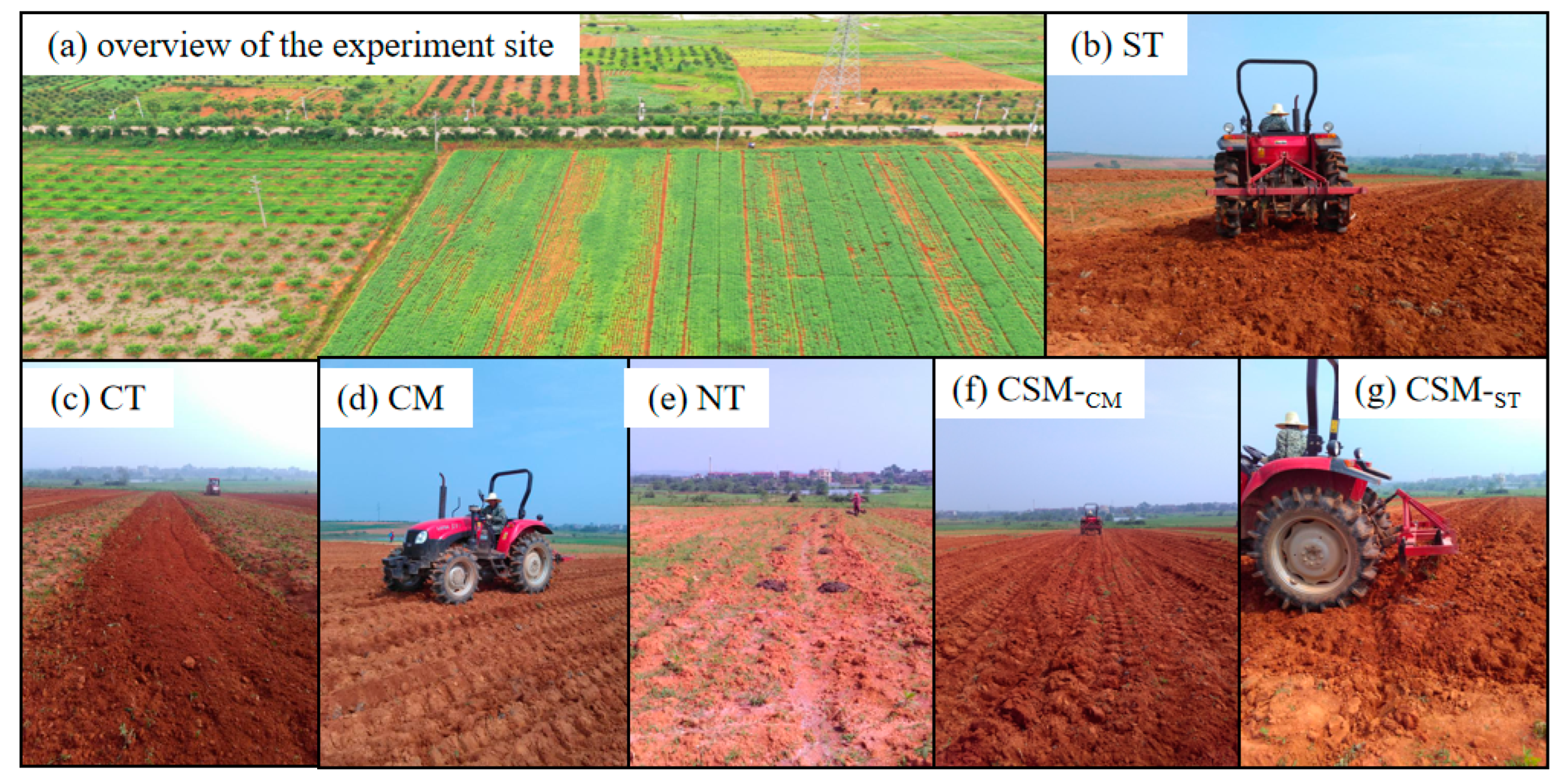 Agronomy 13 01310 g003 Agronomy 13 01310 g003