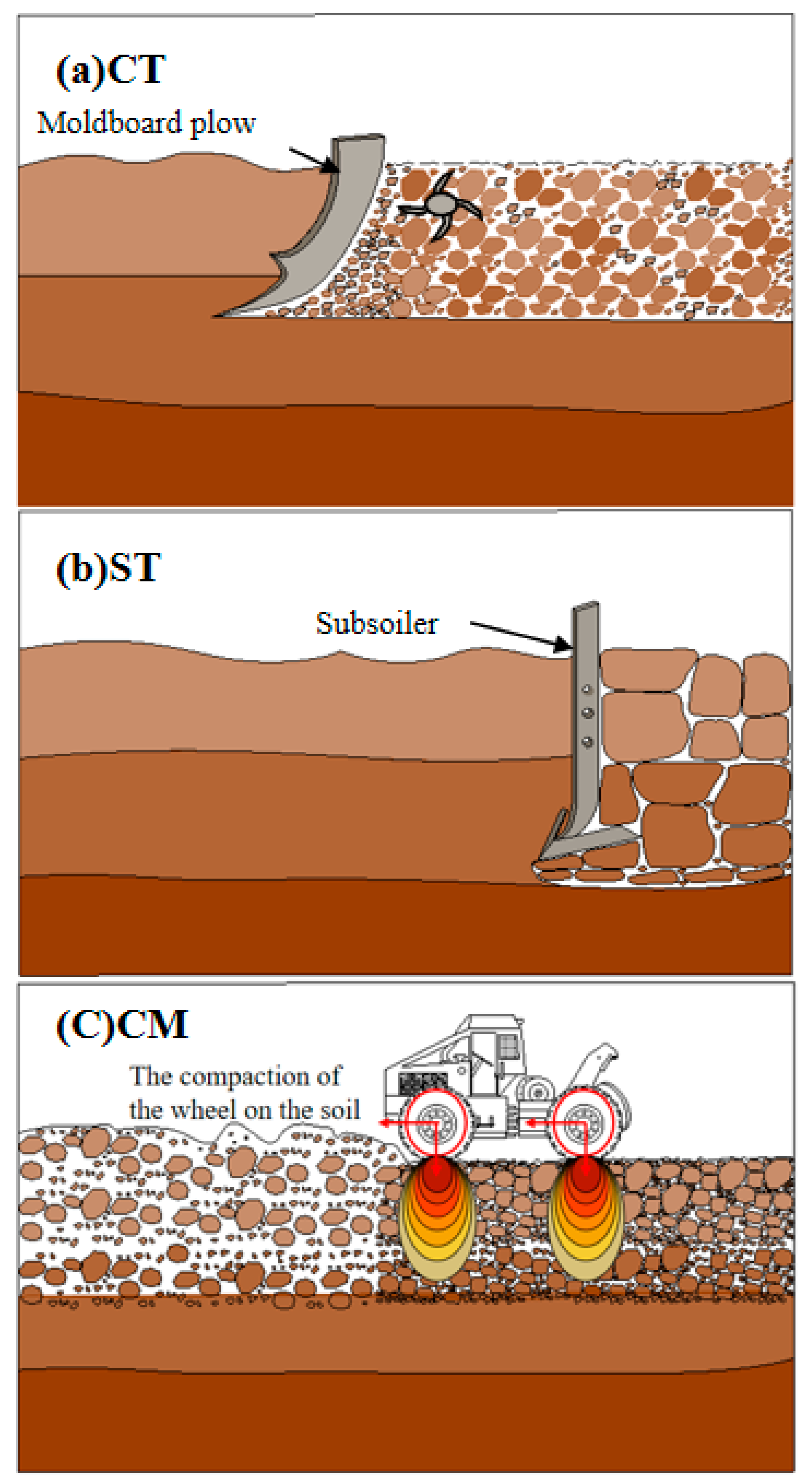 Agronomy 13 01310 g012 Agronomy 13 01310 g012
