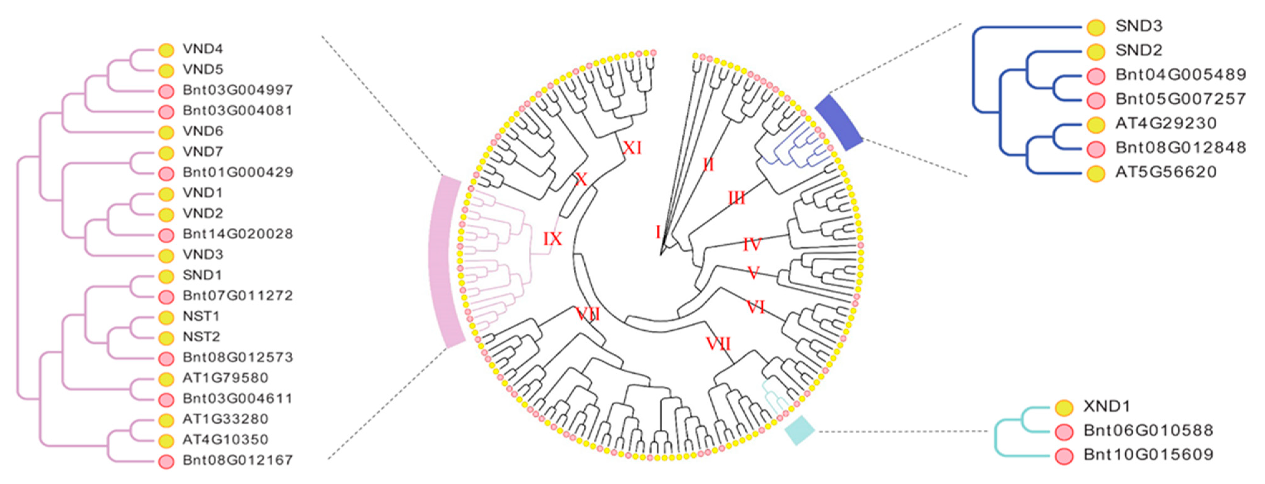 Agronomy 13 01311 g001