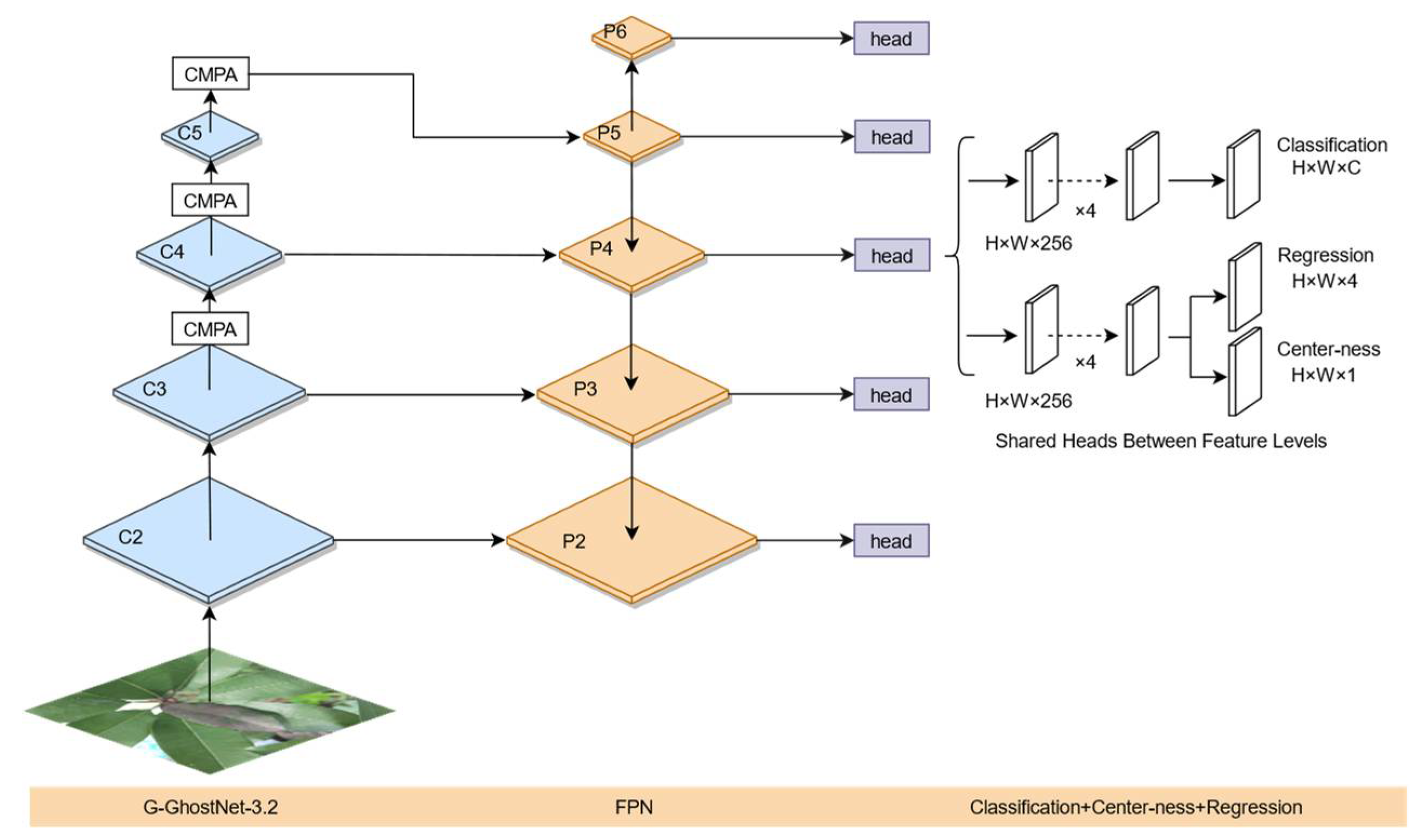 Agronomy 13 01314 g008 550