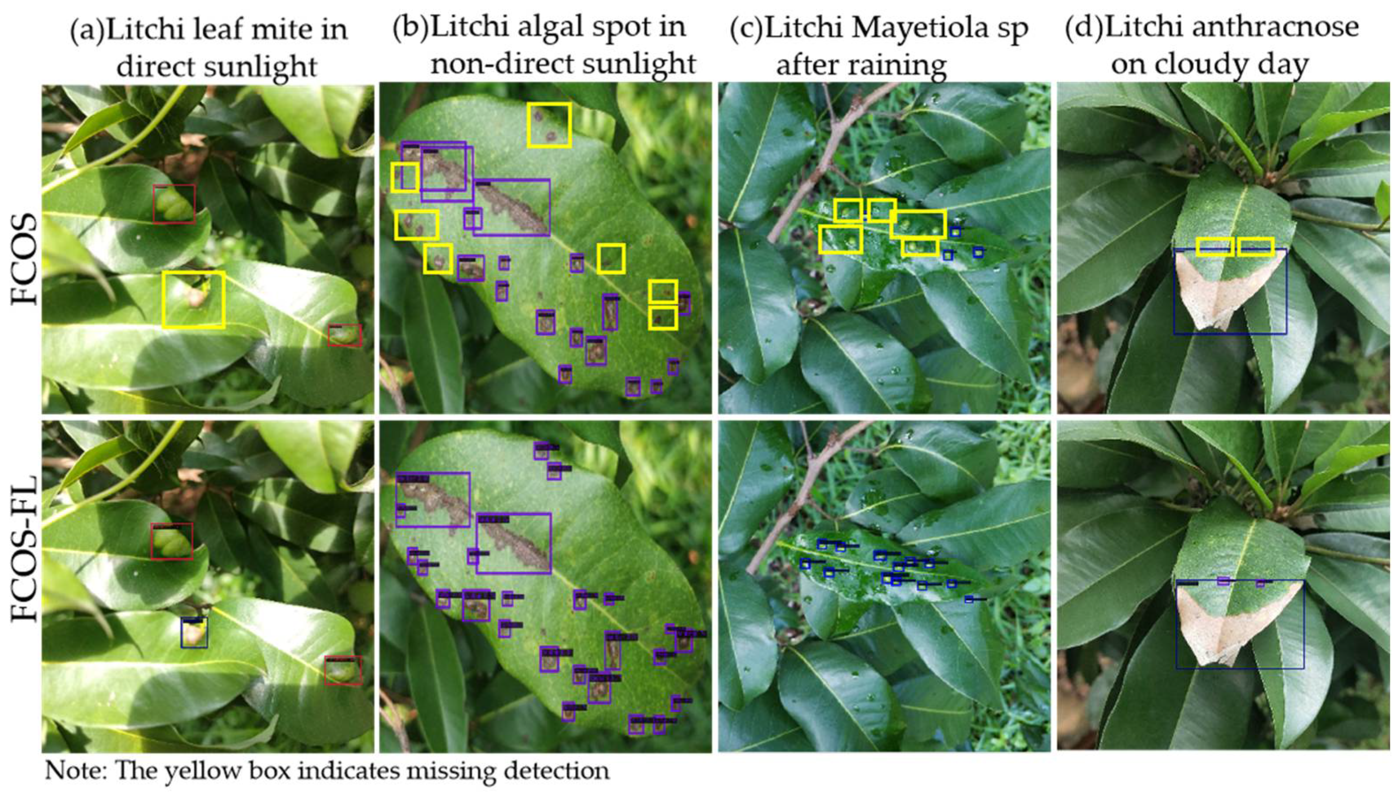 Agronomy 13 01314 g010 550