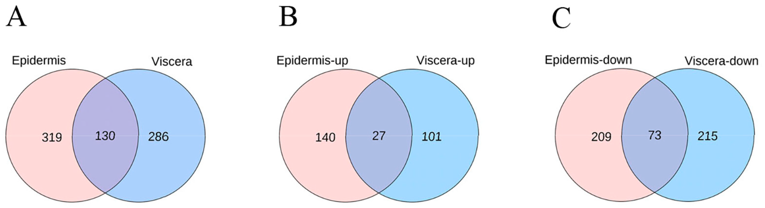 Agronomy 13 01315 g004