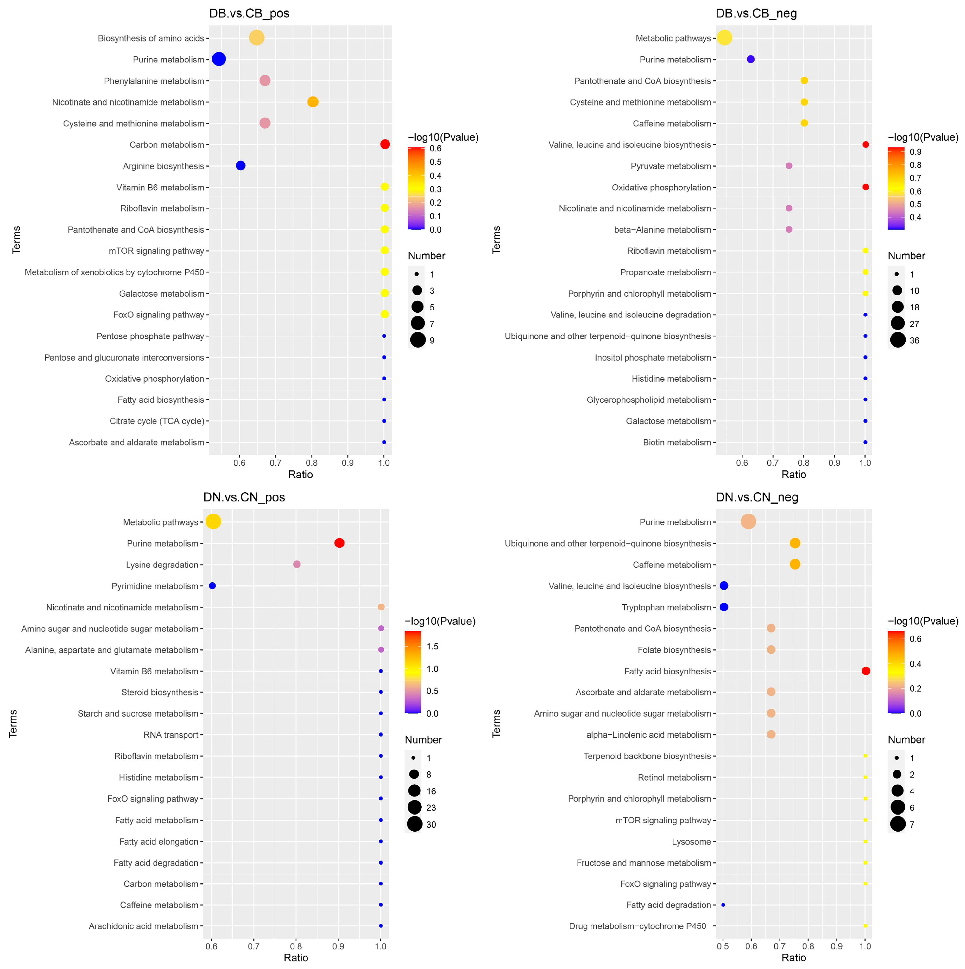 Agronomy 13 01315 g005
