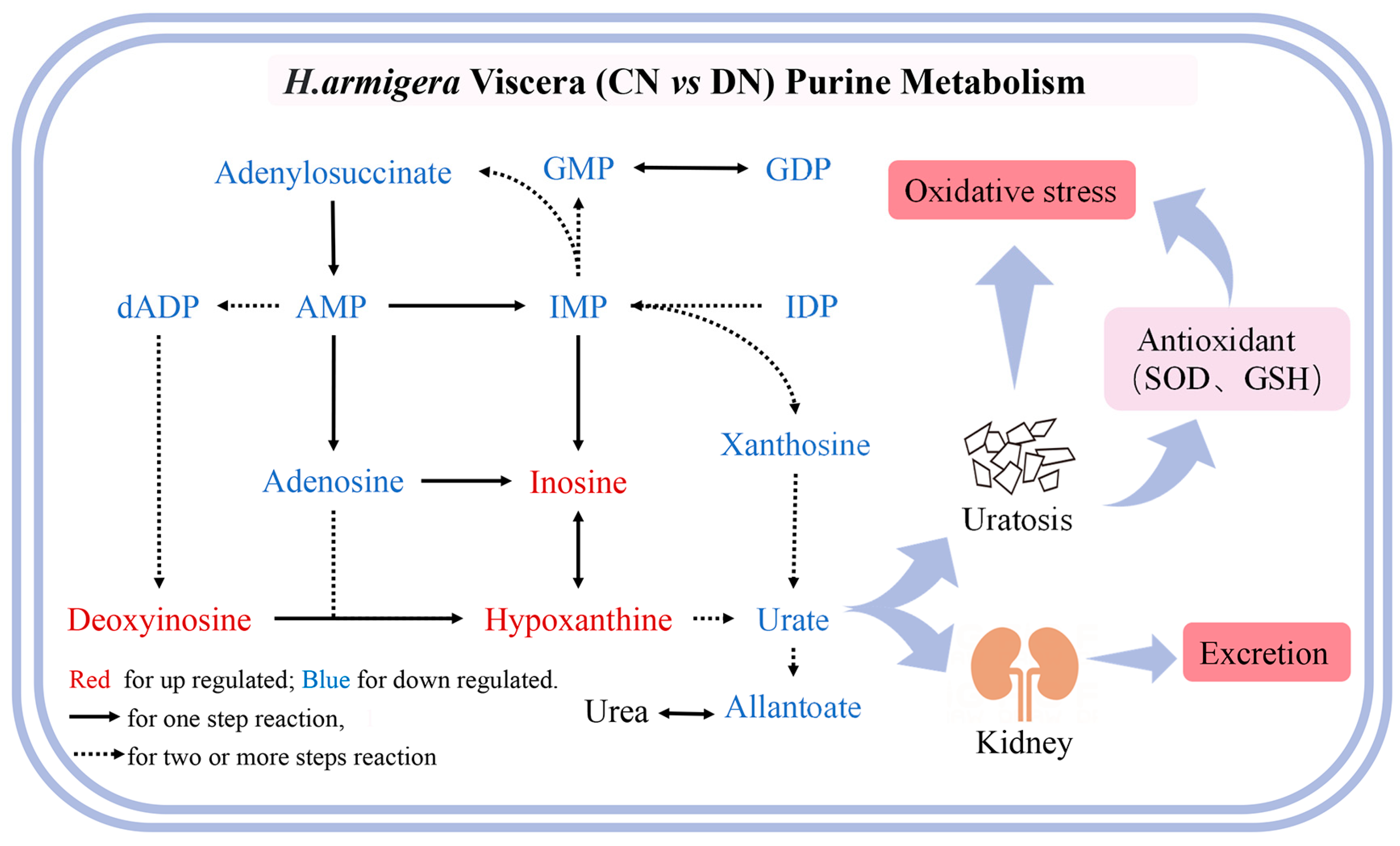 Agronomy 13 01315 g007