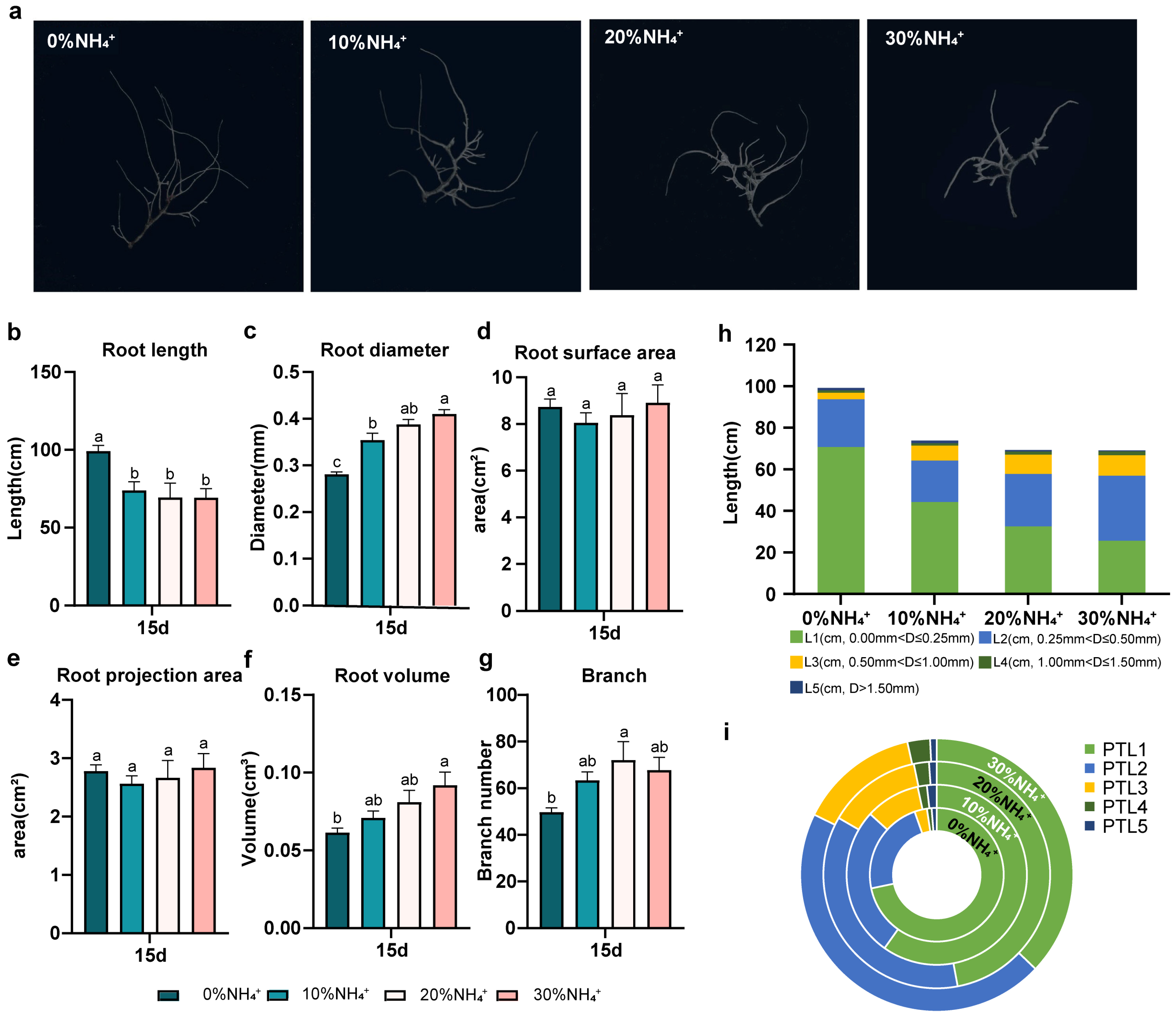 Agronomy 13 01318 g004 Agronomy 13 01318 g004