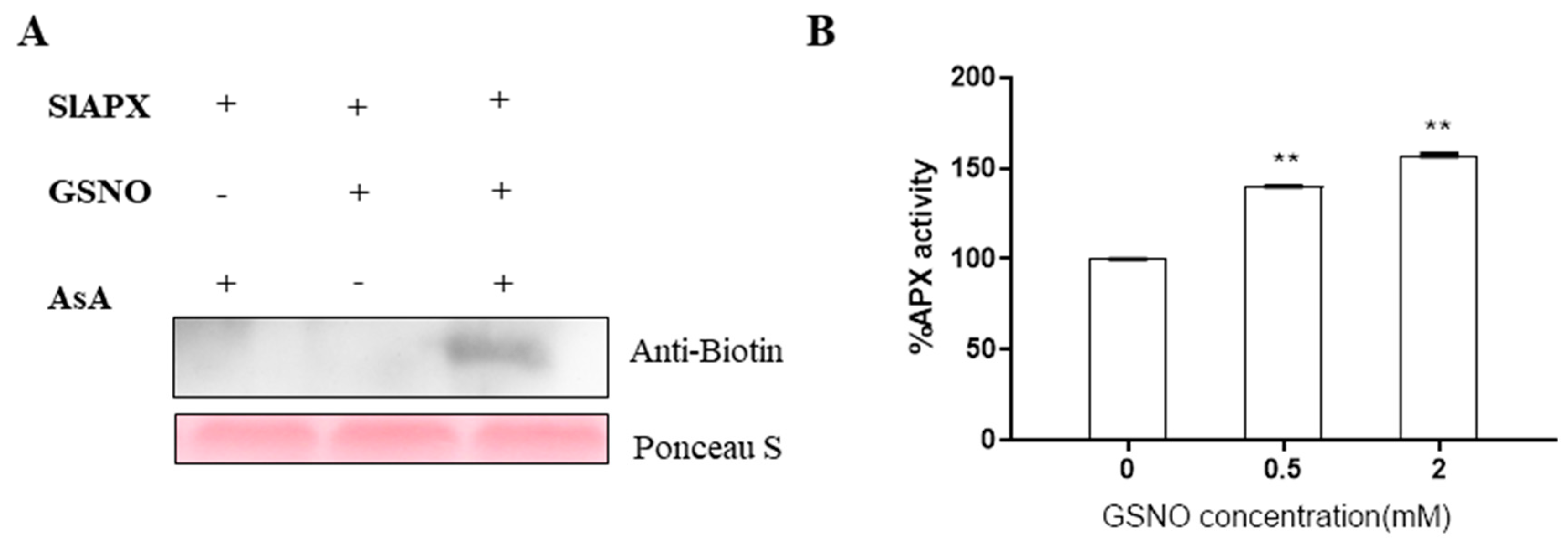 Agronomy 13 01322 g002 Agronomy 13 01322 g002