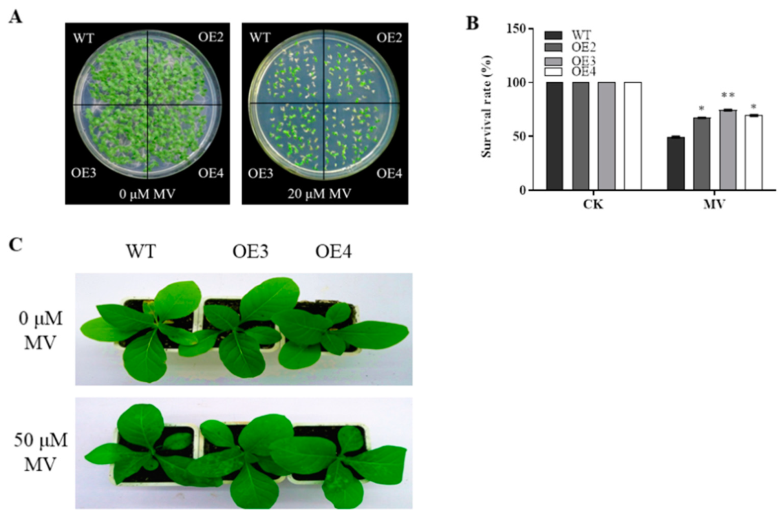 Agronomy 13 01322 g005 Agronomy 13 01322 g005