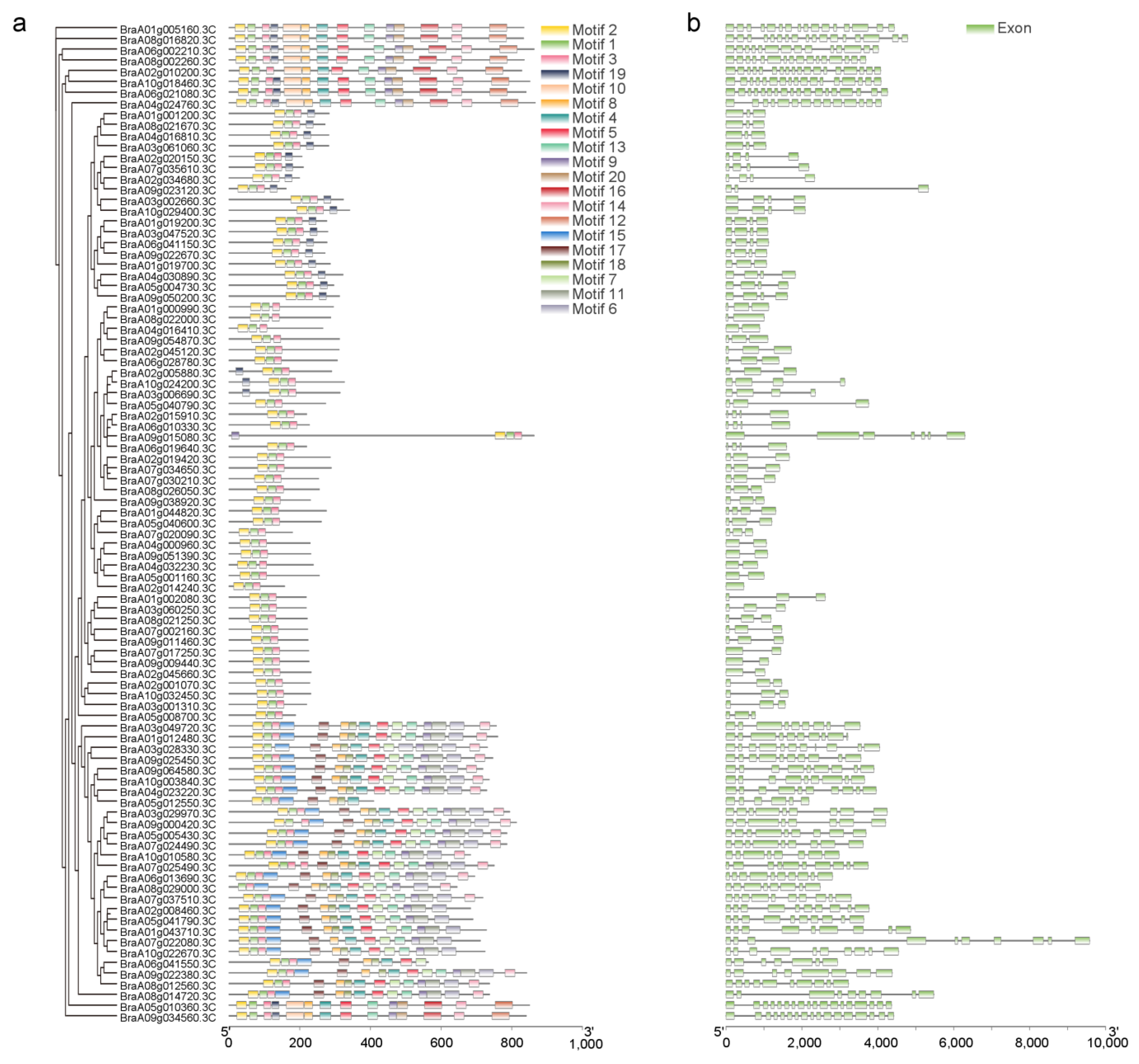 Agronomy 13 01324 g002 Agronomy 13 01324 g002