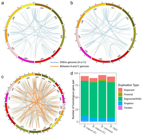 Genome-wide transcriptome analysis reveals molecular pathways involved in  leafy head formation of Chinese cabbage (Brassica rapa)