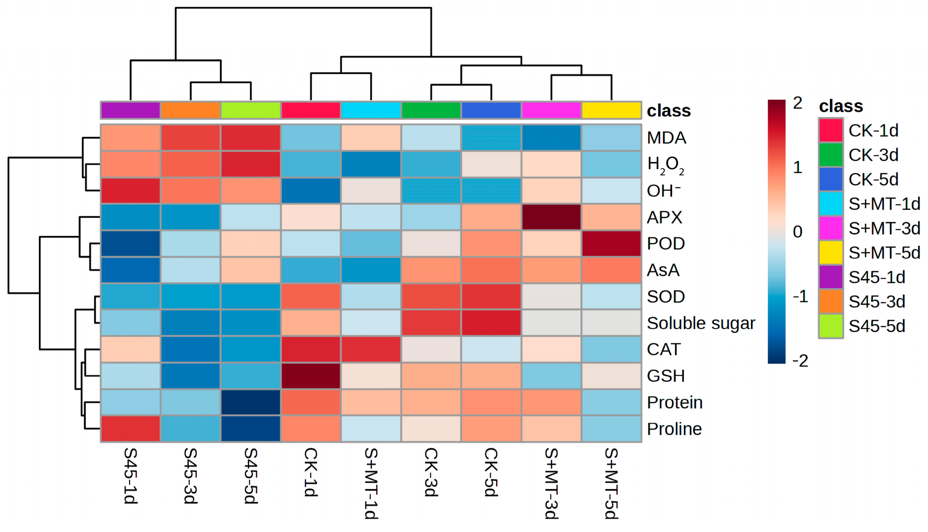 Agronomy 13 01327 g005