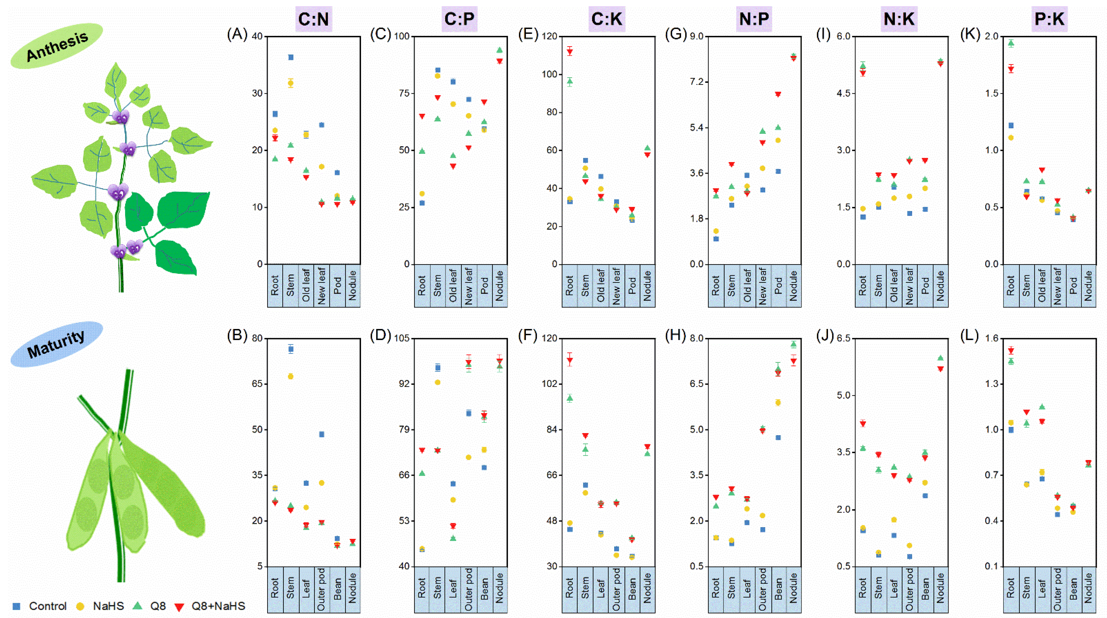 Agronomy 13 01332 g004