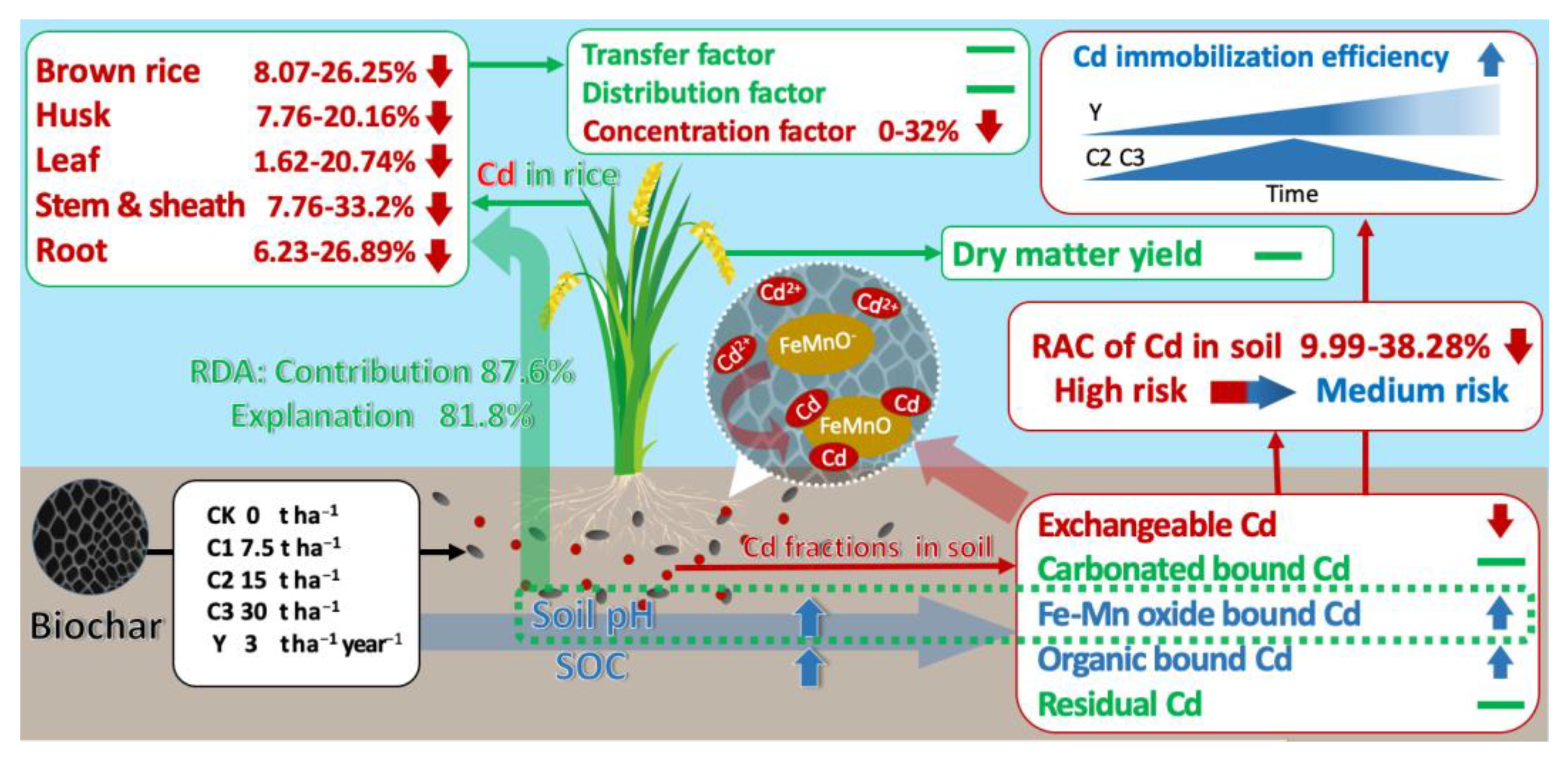 Agronomy 13 01335 g009 Agronomy 13 01335 g009