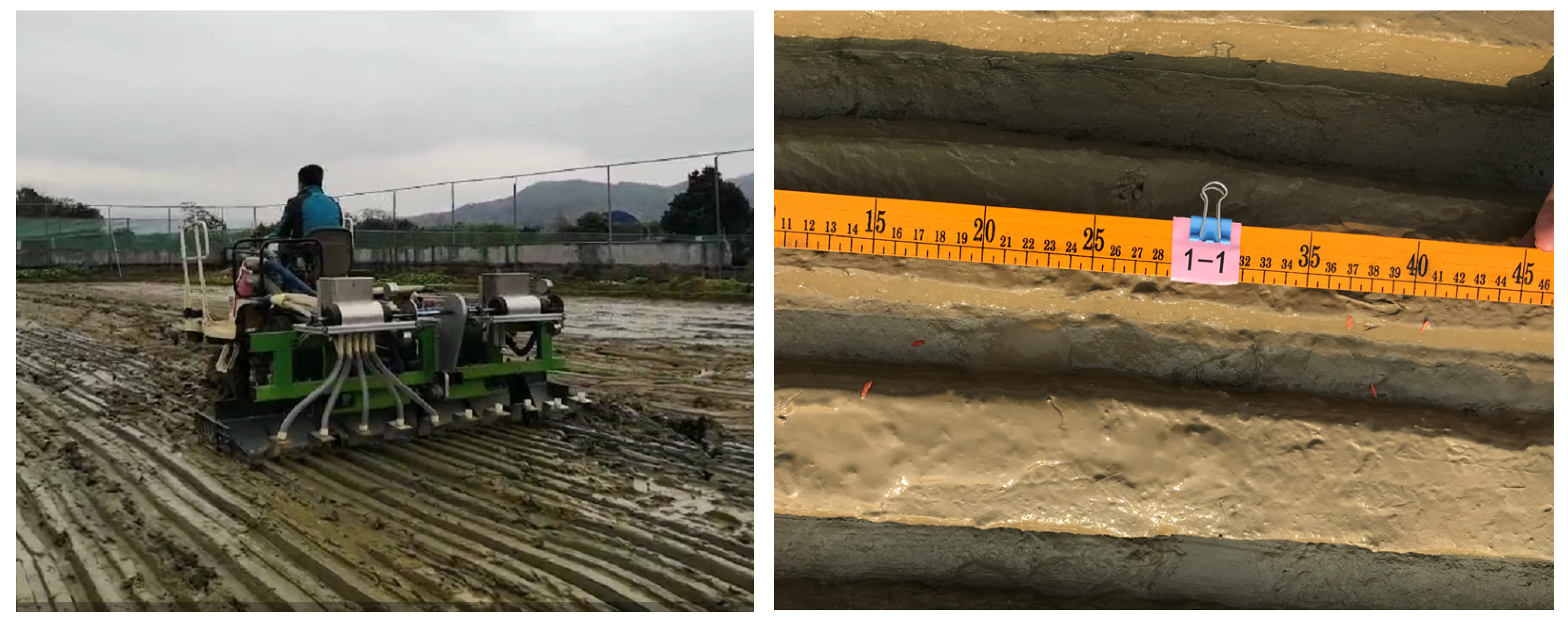 Agronomy 13 01337 g004