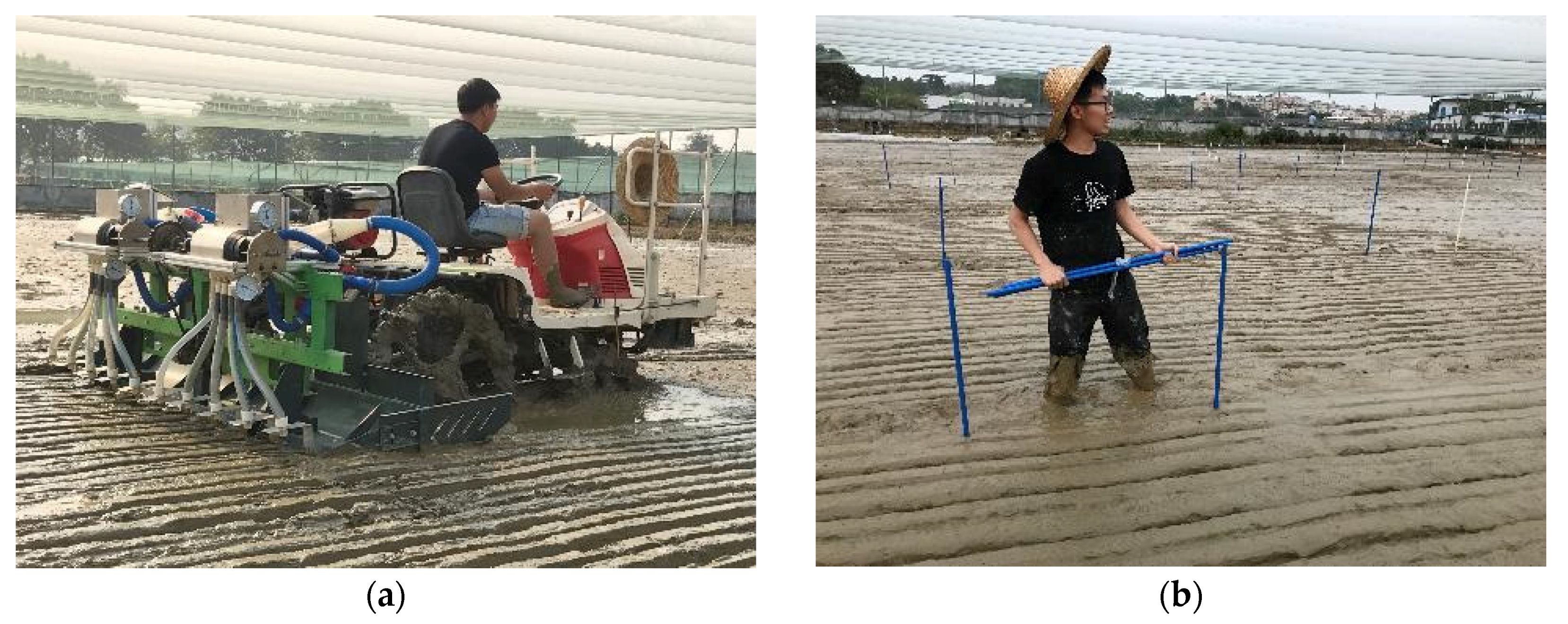 Agronomy 13 01337 g010