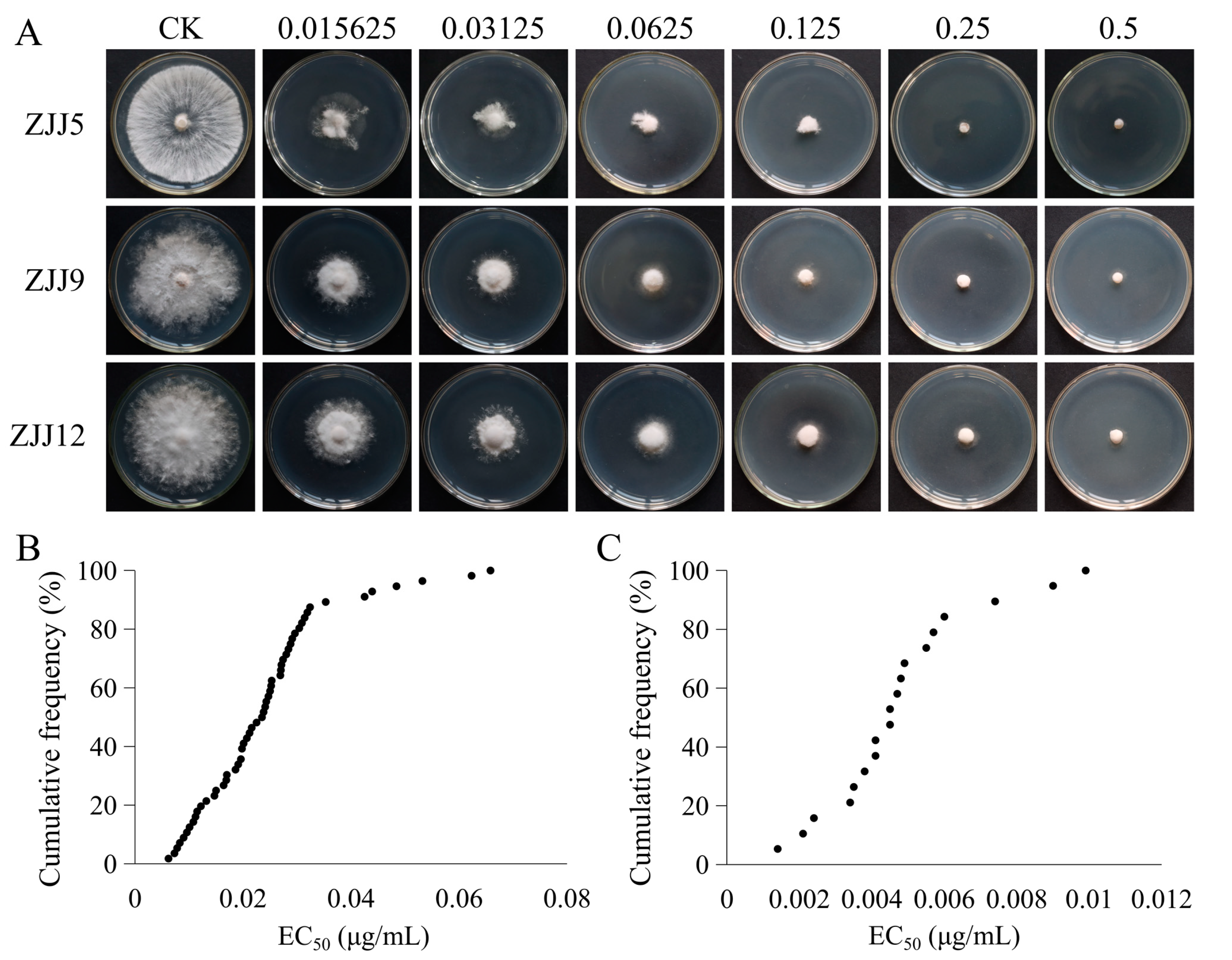 Agronomy 13 01340 g003