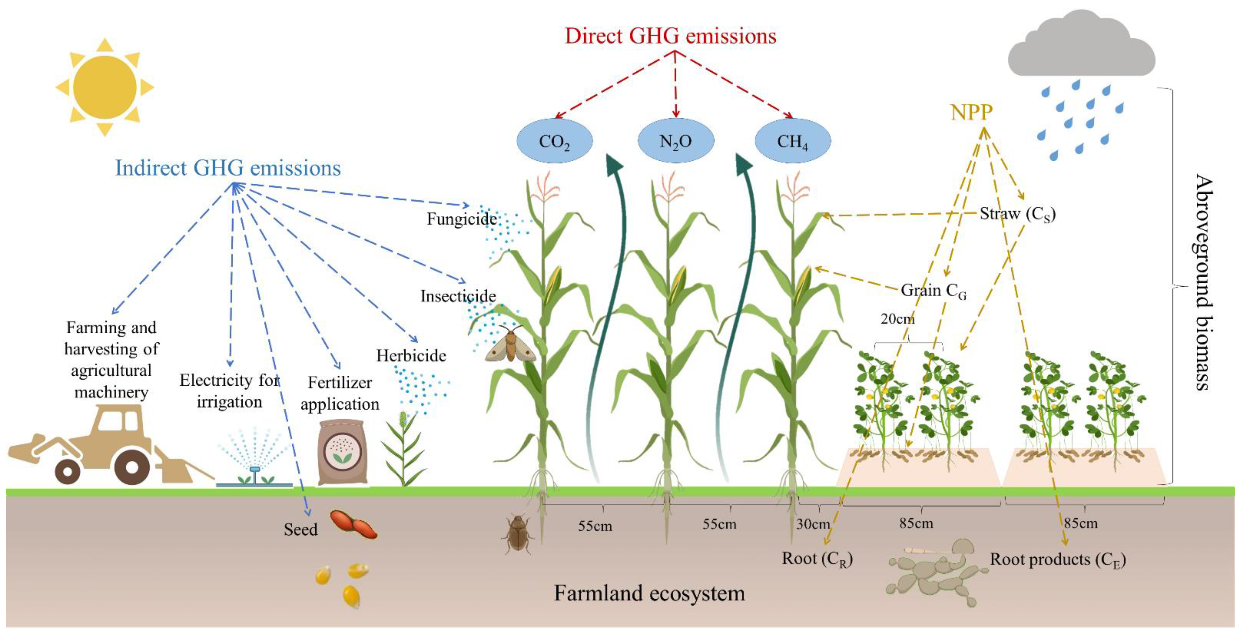 Agronomy 13 01343 g003 Agronomy 13 01343 g003