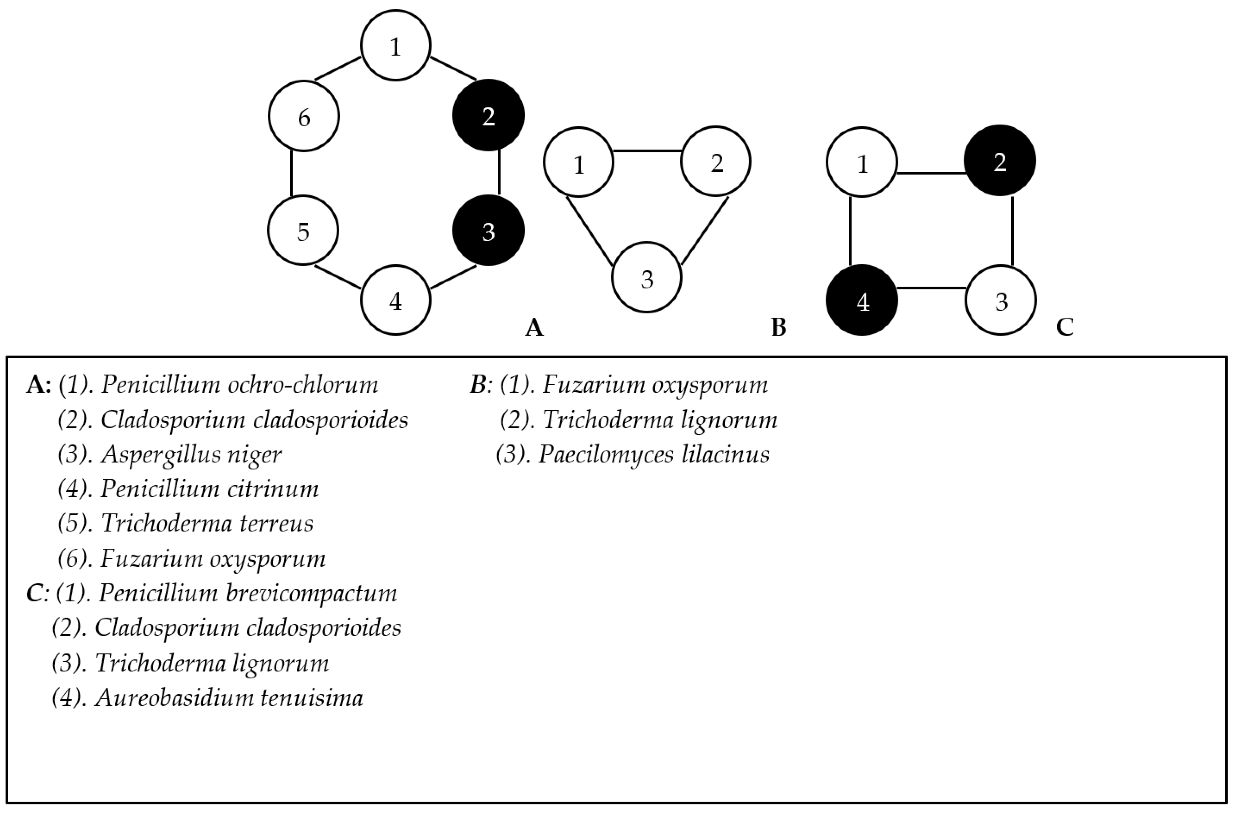 Agronomy 13 01346 g002 Agronomy 13 01346 g002