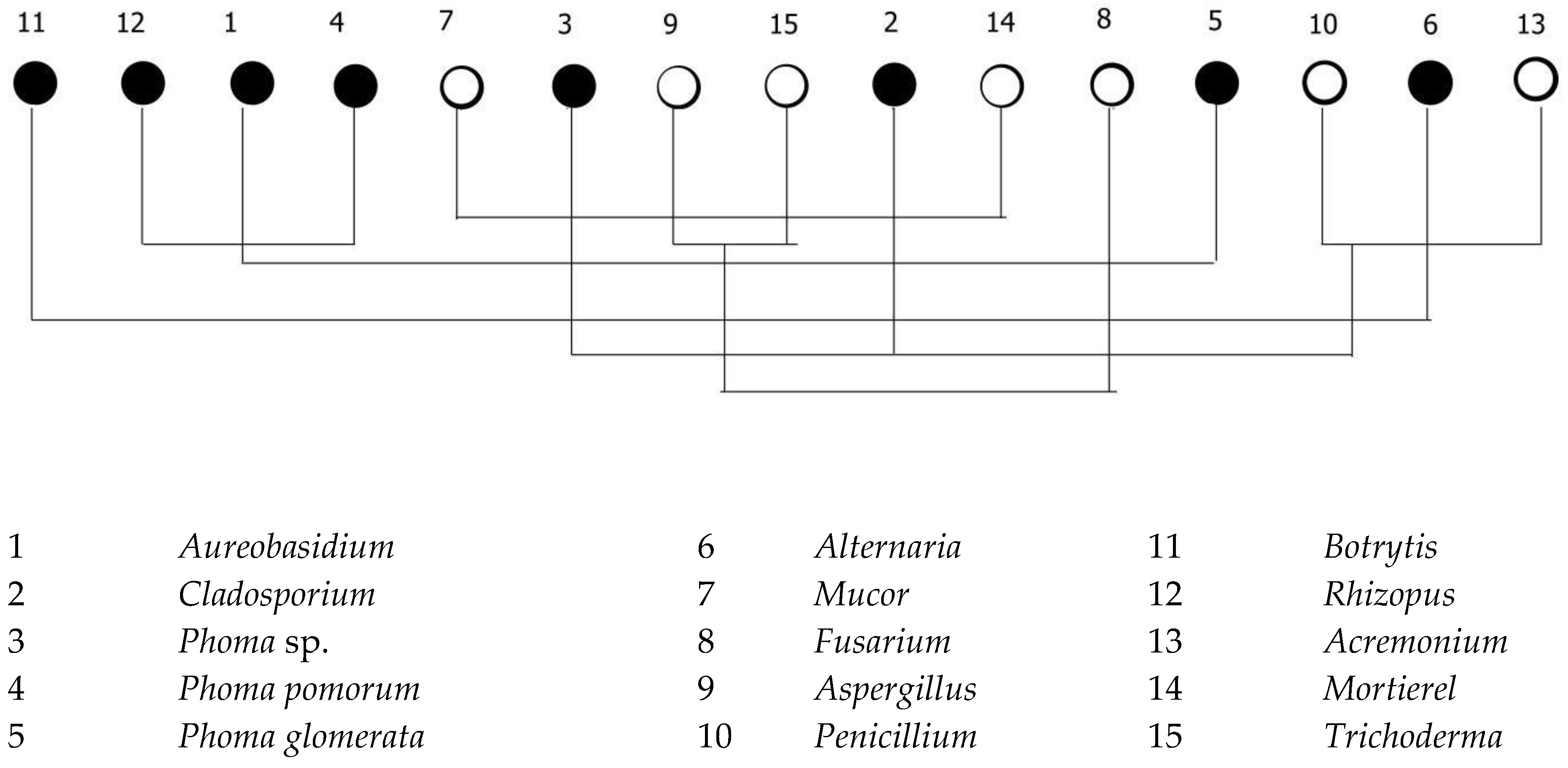 Agronomy 13 01346 g004 Agronomy 13 01346 g004