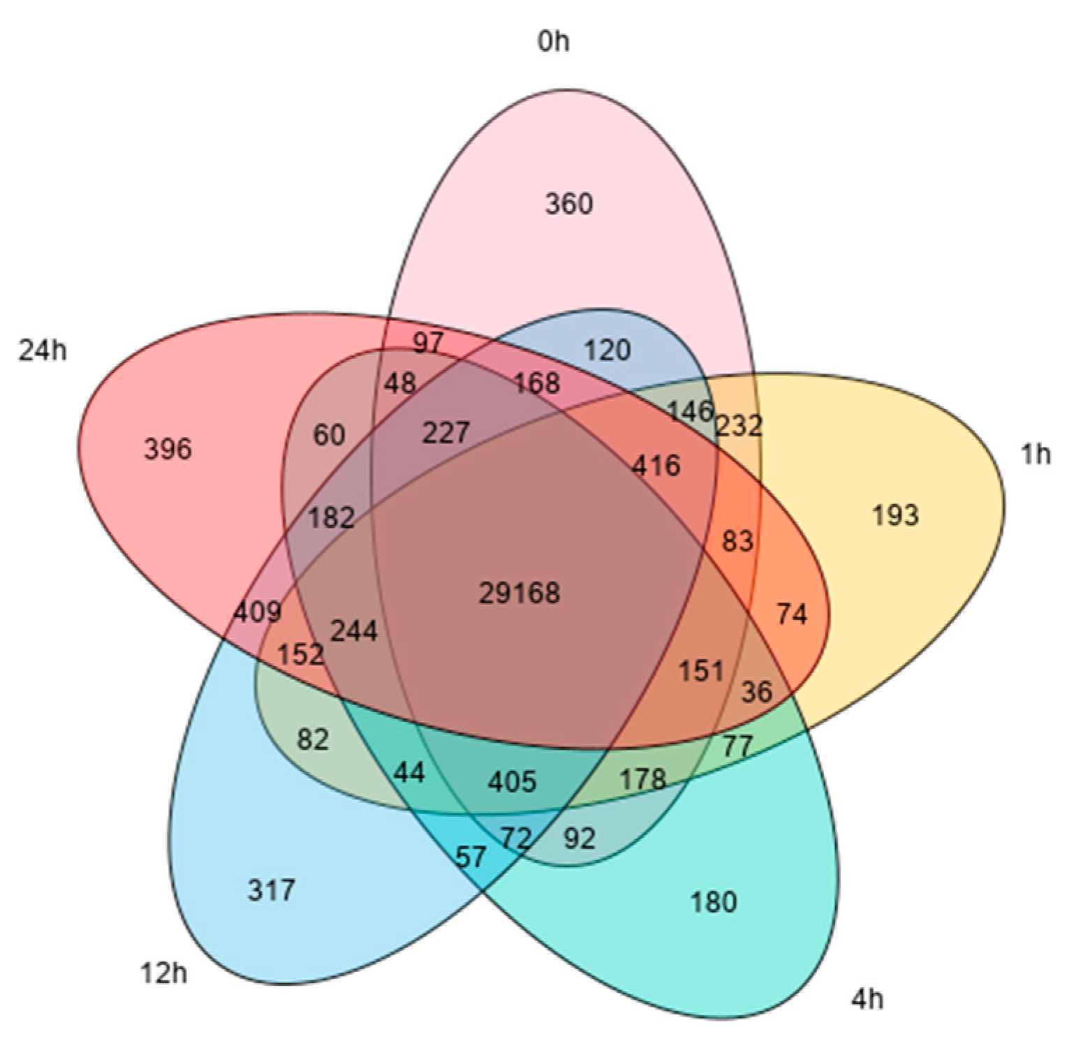Agronomy 13 01347 g001 Agronomy 13 01347 g001