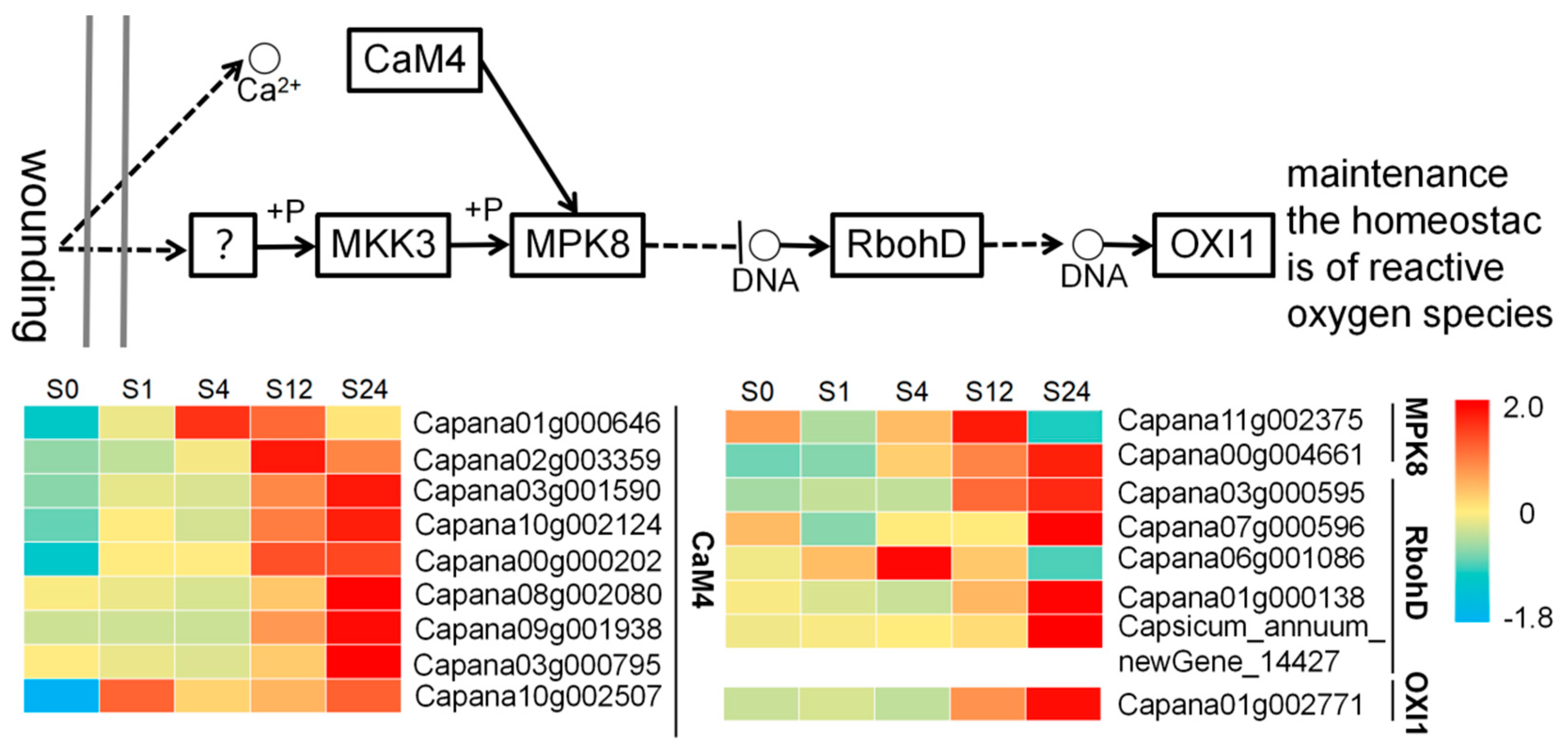 Agronomy 13 01347 g004 Agronomy 13 01347 g004